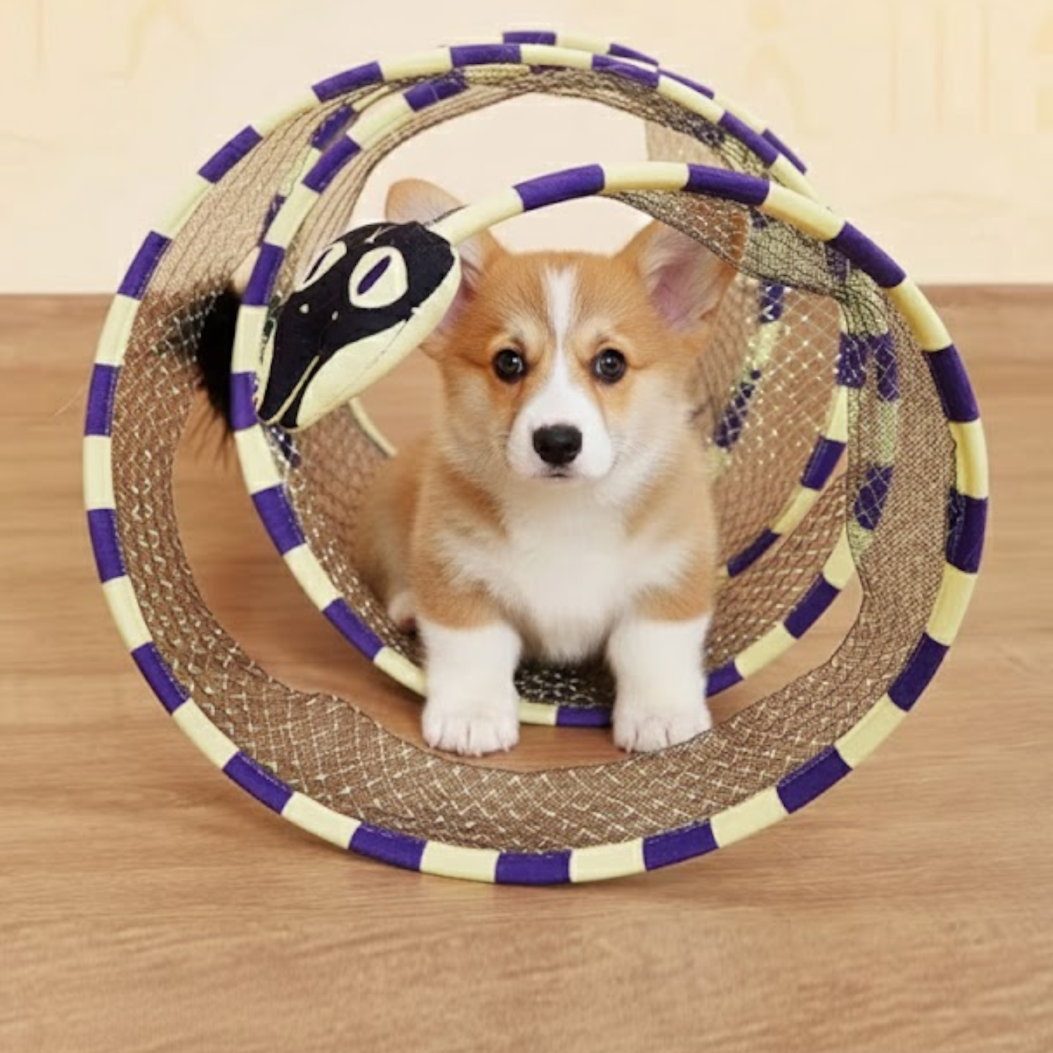 Interactive-Dog-Mesh-Tunnel-Toy.jpg