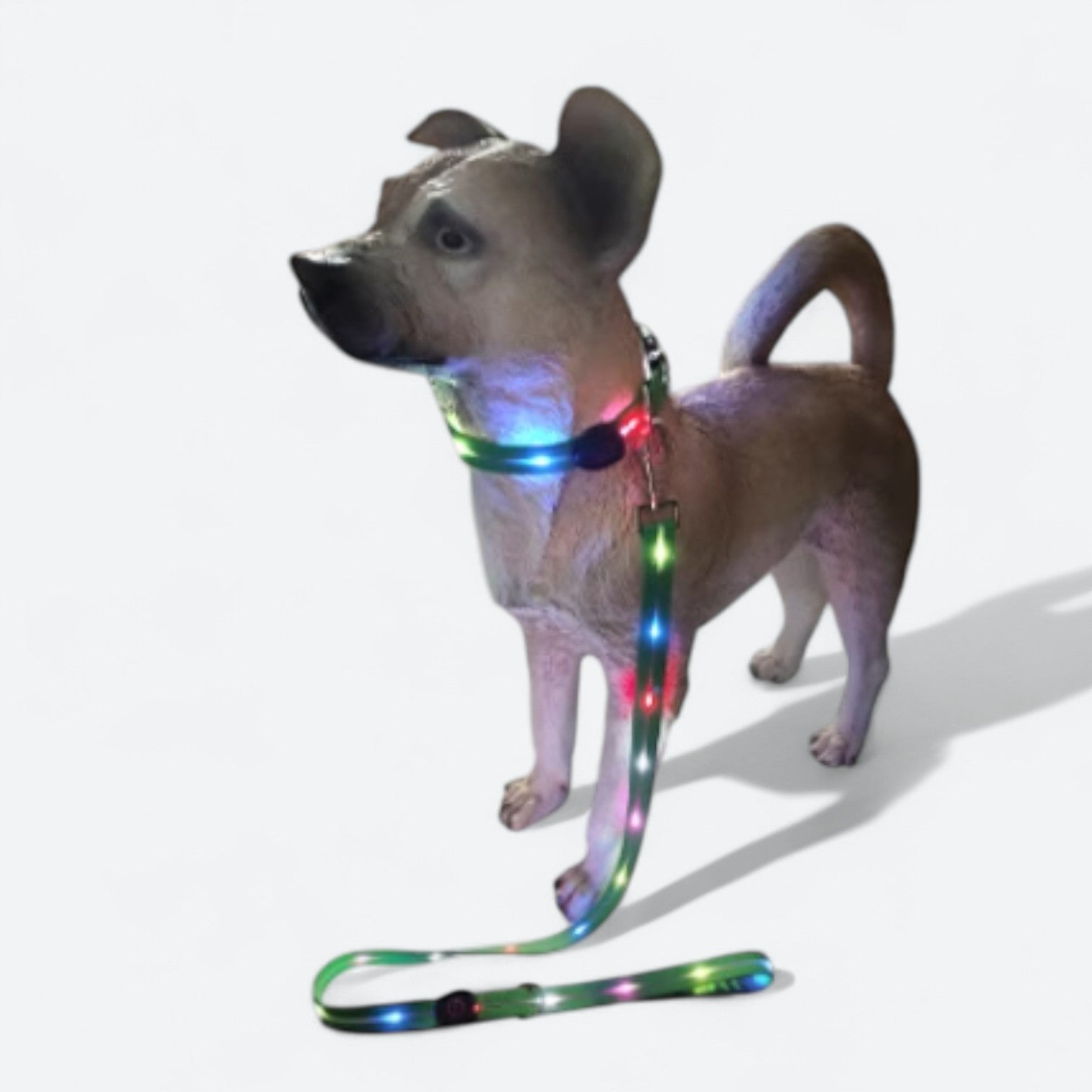 LED-Luminous-Dog-Collar-Leash-Set.jpg