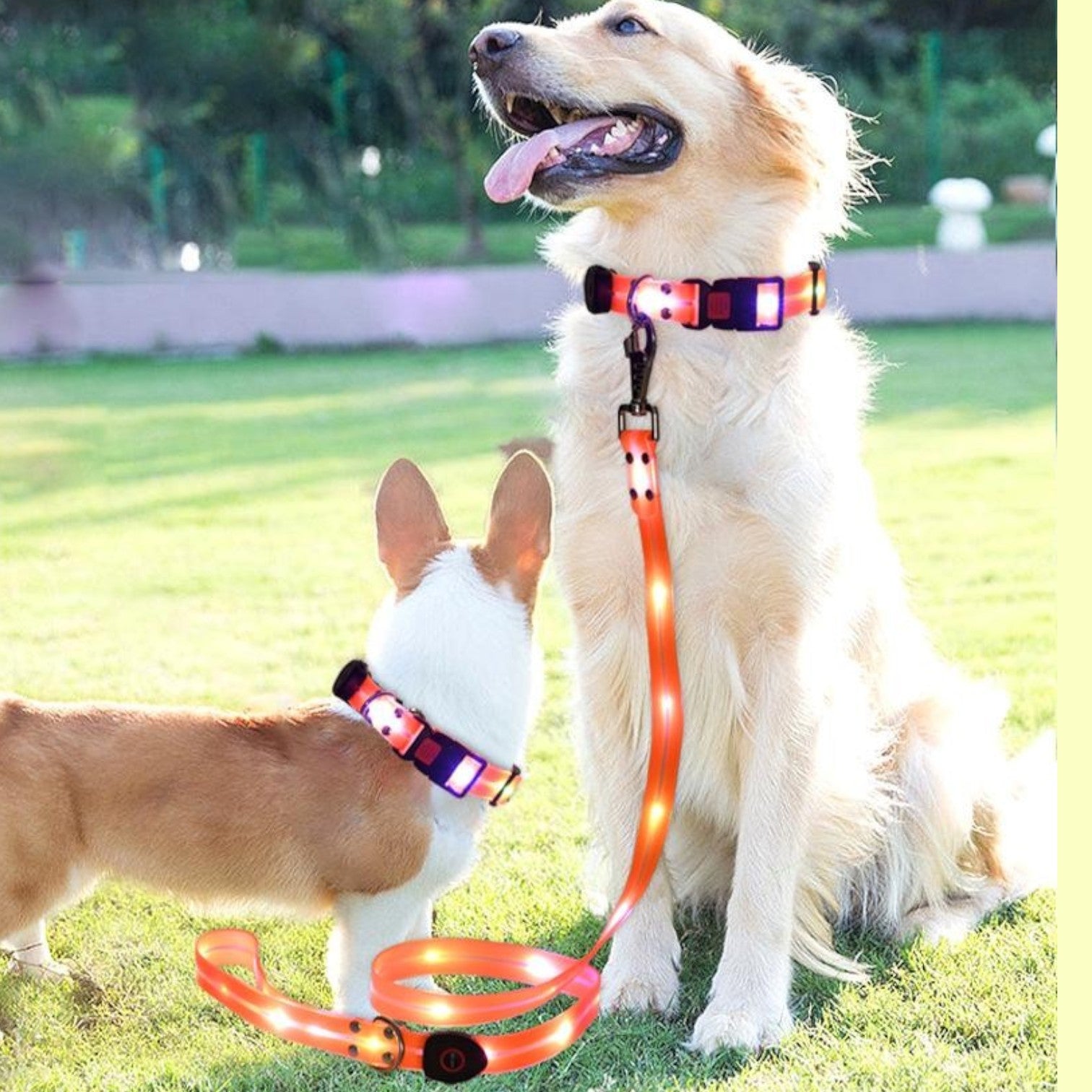 LED-Luminous-Dog-Collar-Leash-Set.jpg