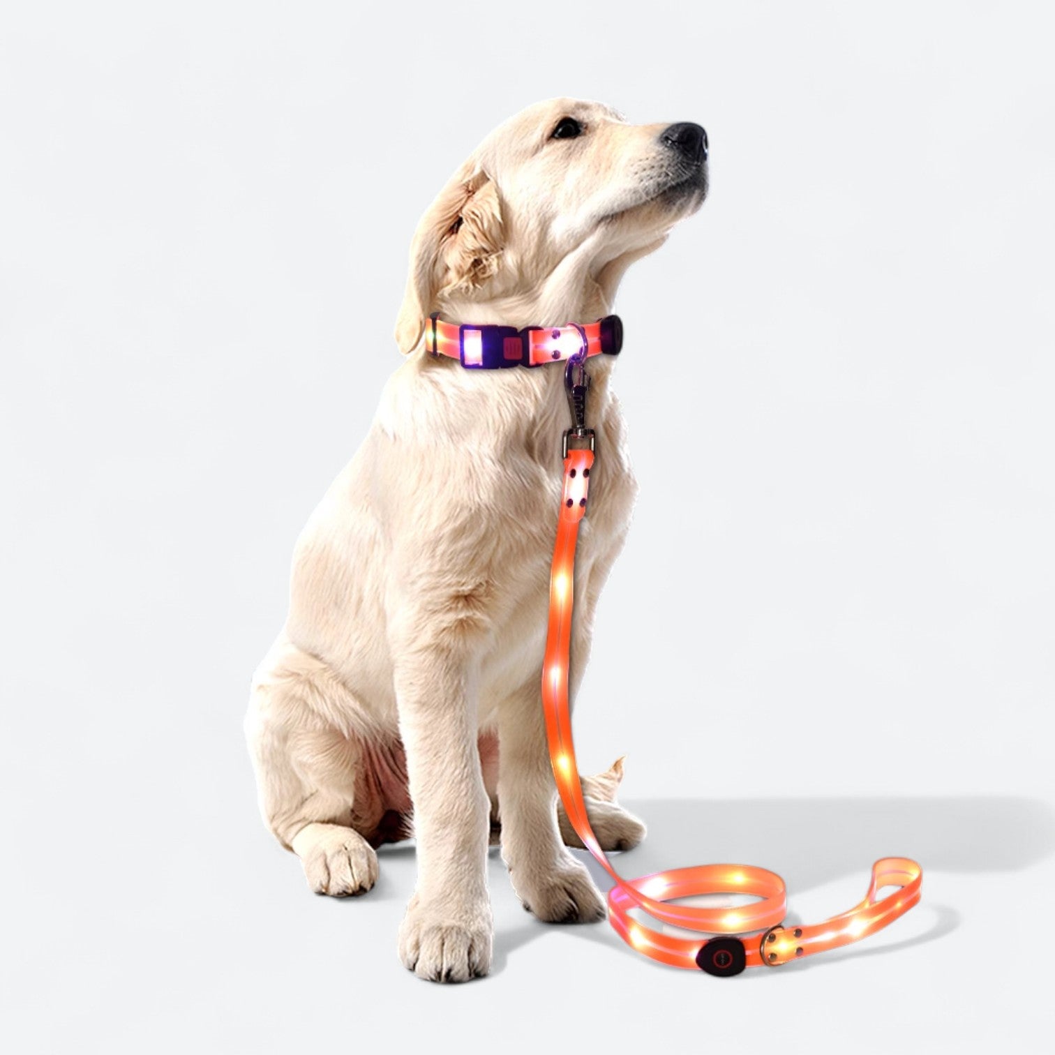 LED-Luminous-Dog-Collar-Leash-Set.jpg