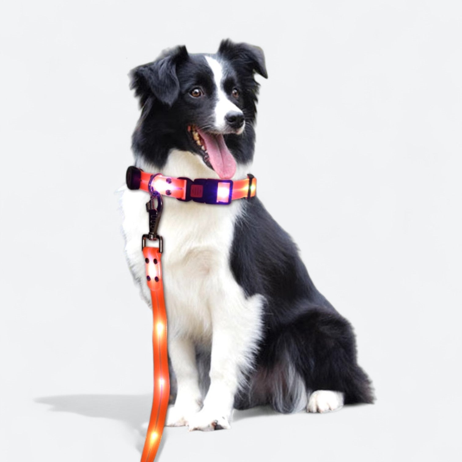 LED-Luminous-Dog-Collar-Leash-Set.jpg