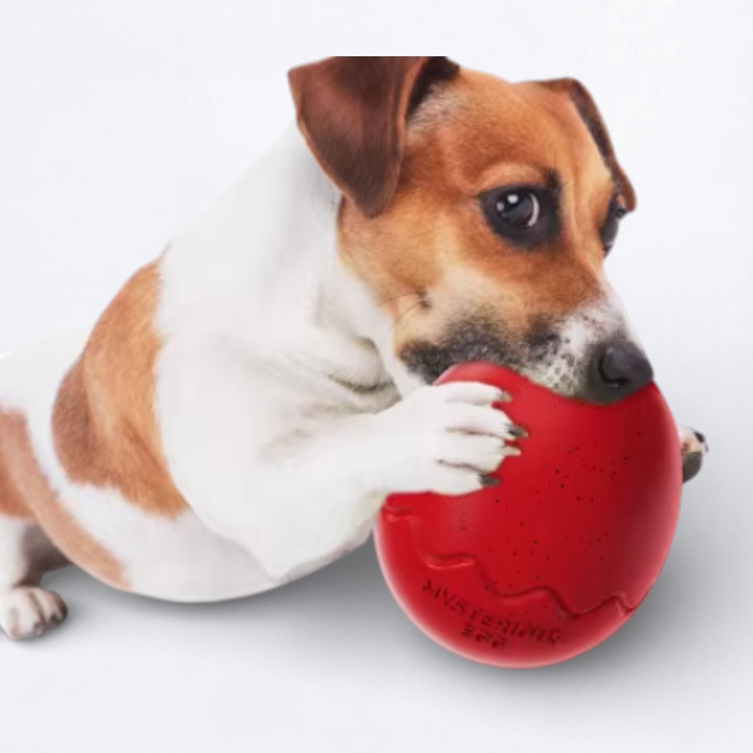 Leaky-Egg-Dog-Treat-Toy.jpg