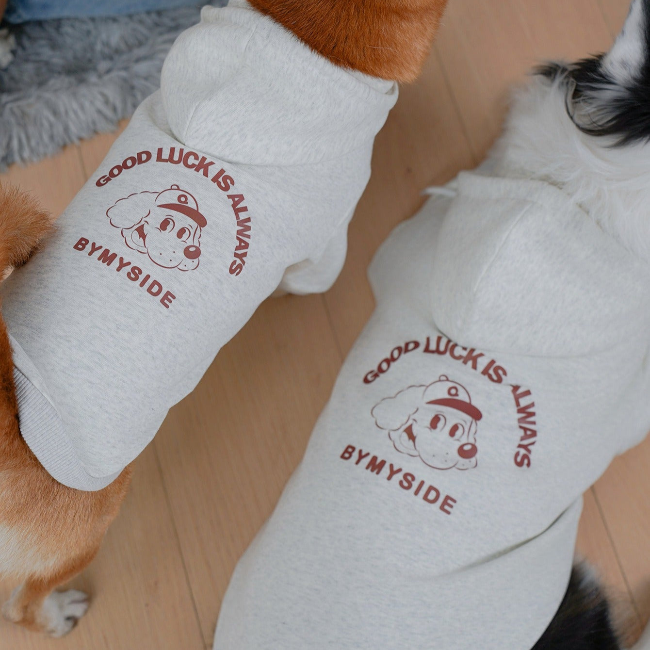 Letter Print Hoodie for Dogs Autumn