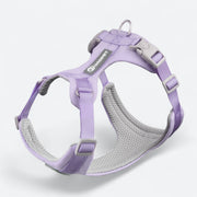 Lightweight dog harness and leash set