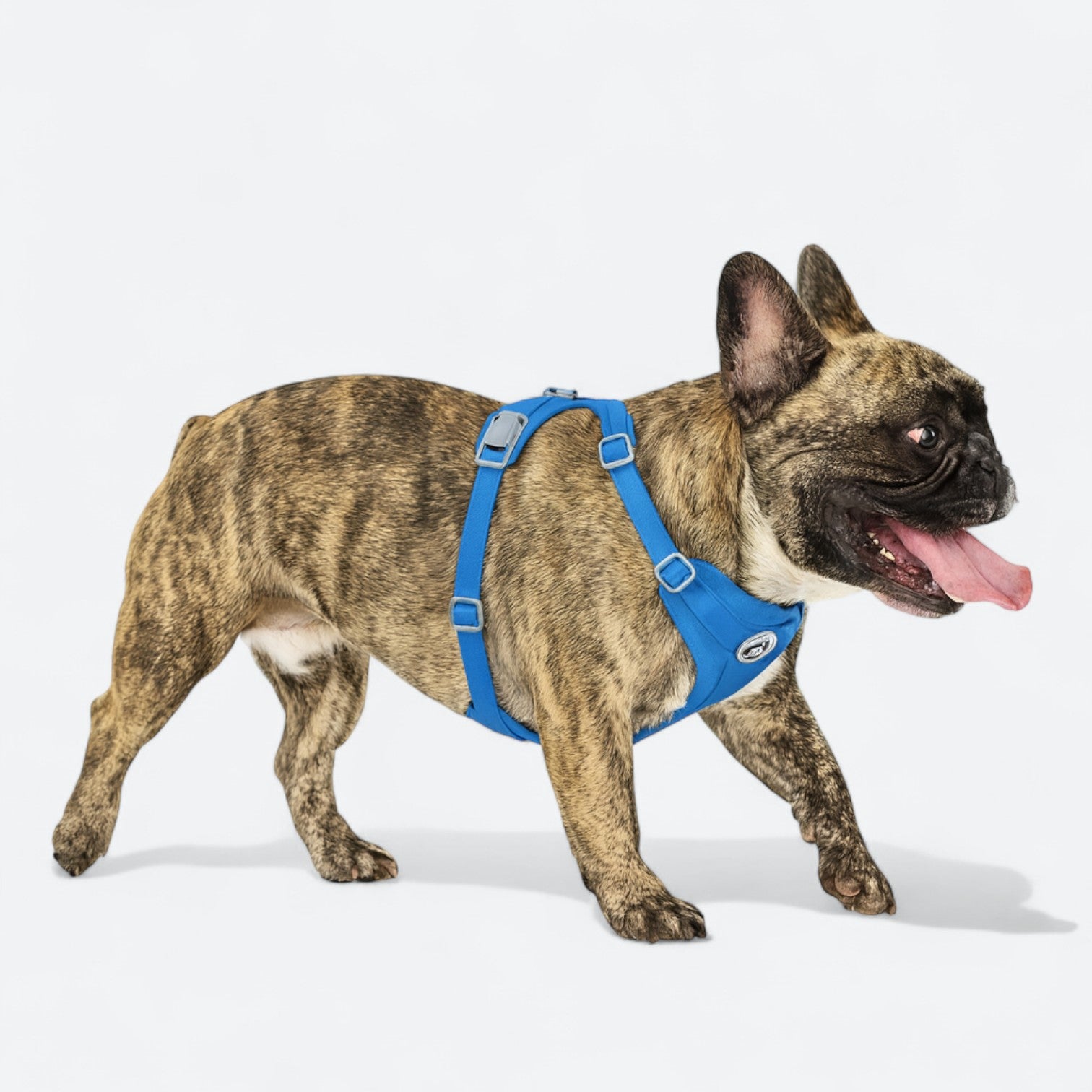 Lightweight-Dog-Harness-Leash-Set.jpg
