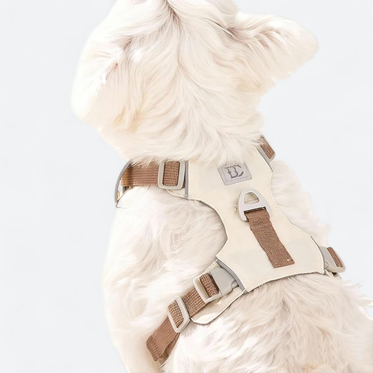 Lightweight-No-Pull-Dog-Harness-Leash-Set.jpg