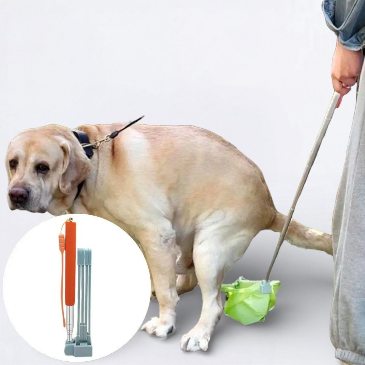 Long-Handle-Dog-Poop-Scooper.jpg