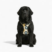 'Luna' No-Pull Dog Harness