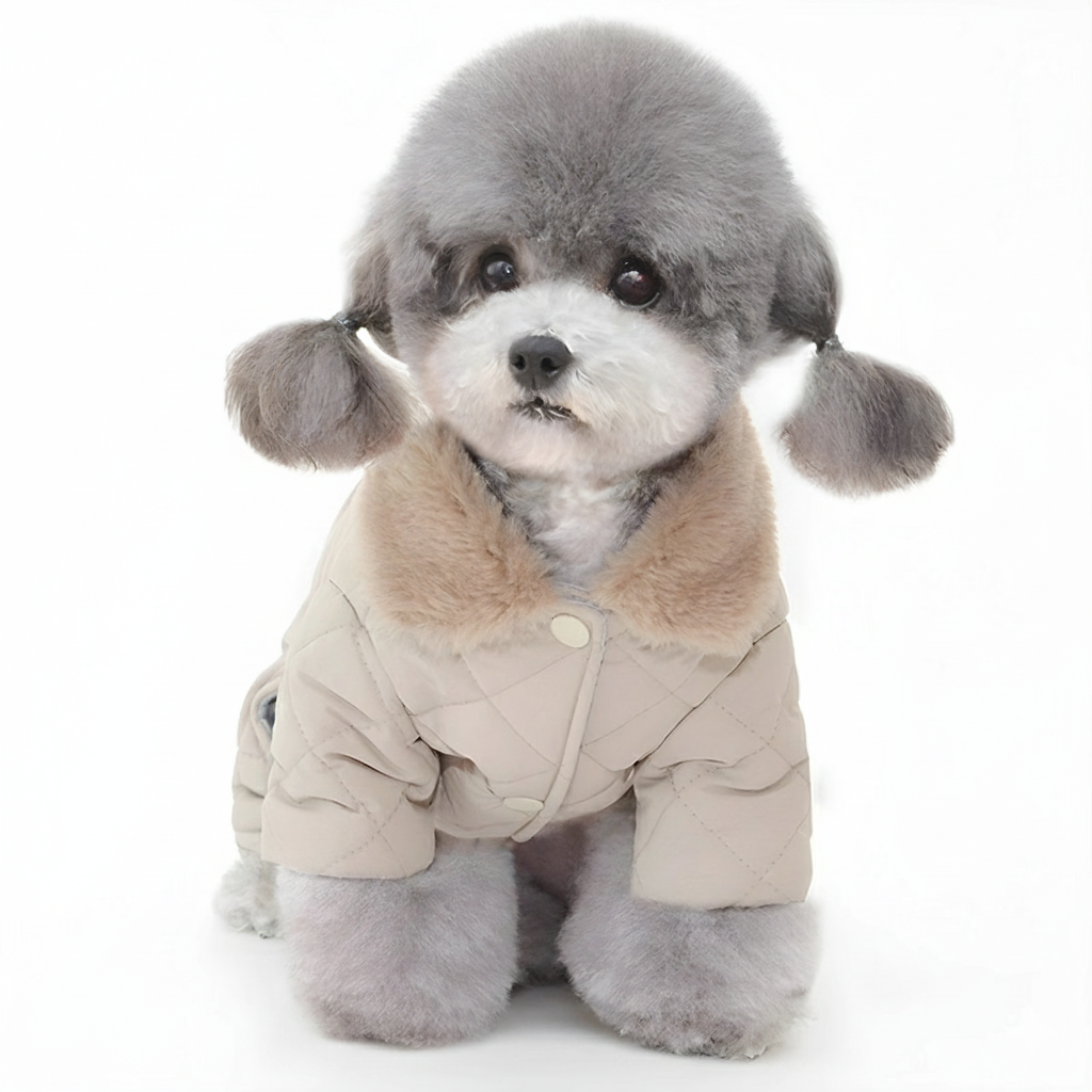Luxury-Faux-Fur-Collar-Dog-Jumpsuit.jpg