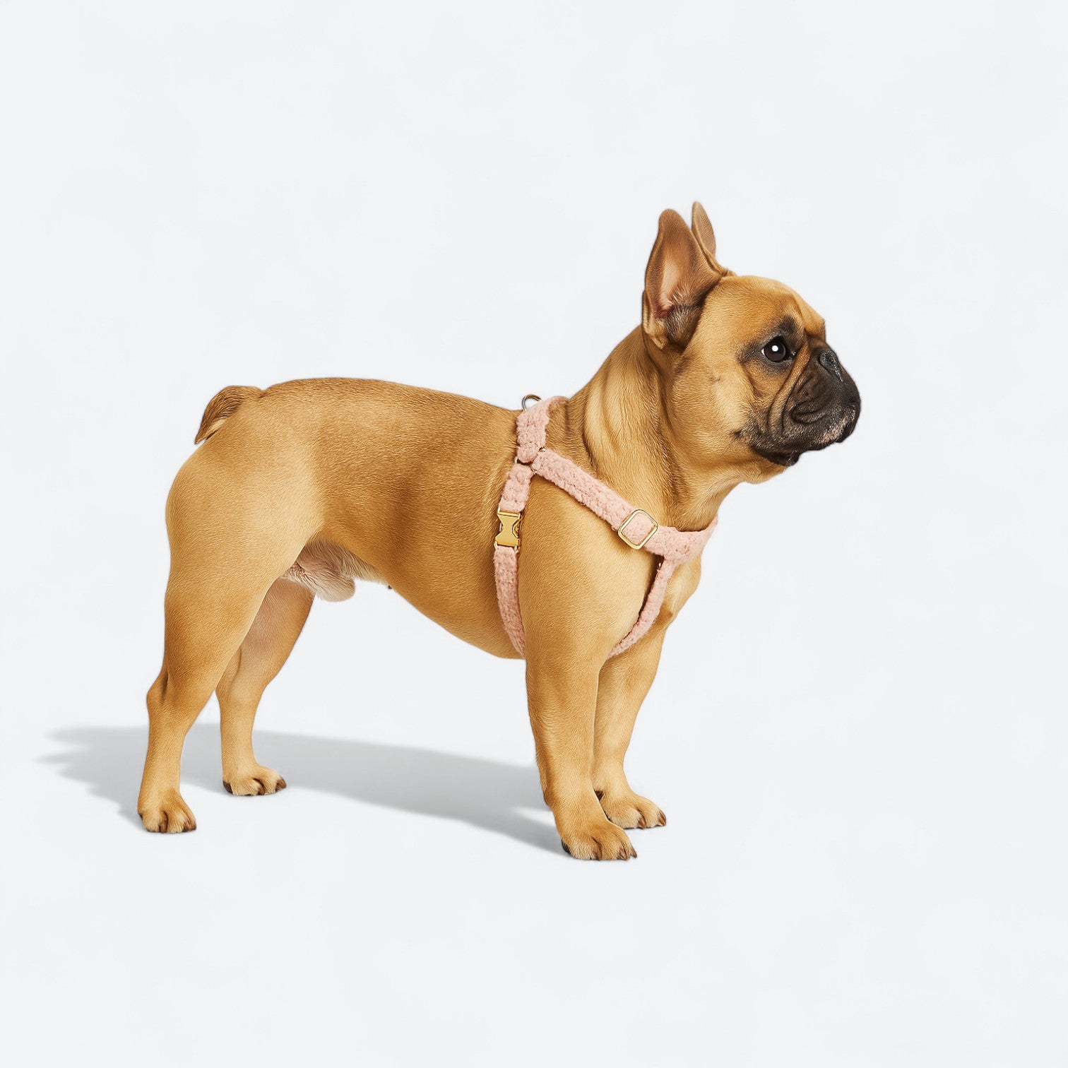 Luxury-Plush-Fabric-Dog-Harness-Collar-Leash-Set.jpg