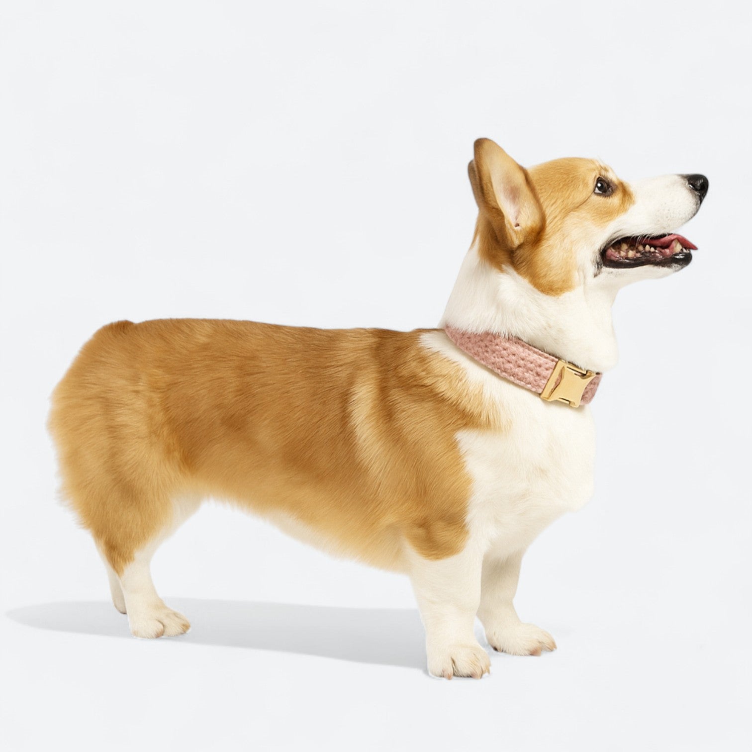 Luxury-Plush-Fabric-Dog-Harness-Collar-Leash-Set.jpg