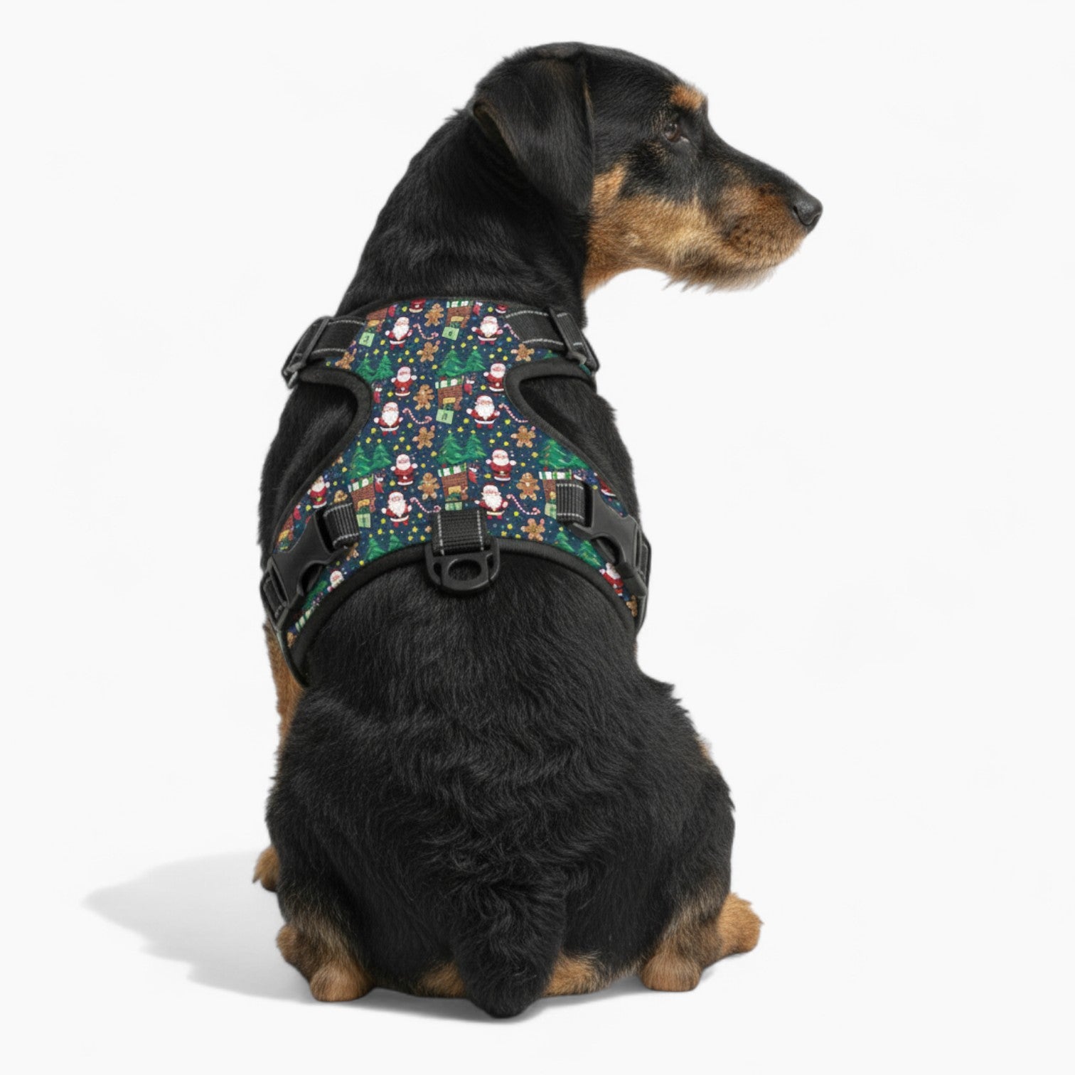 Maggie NO-pull Dog Harness and leash