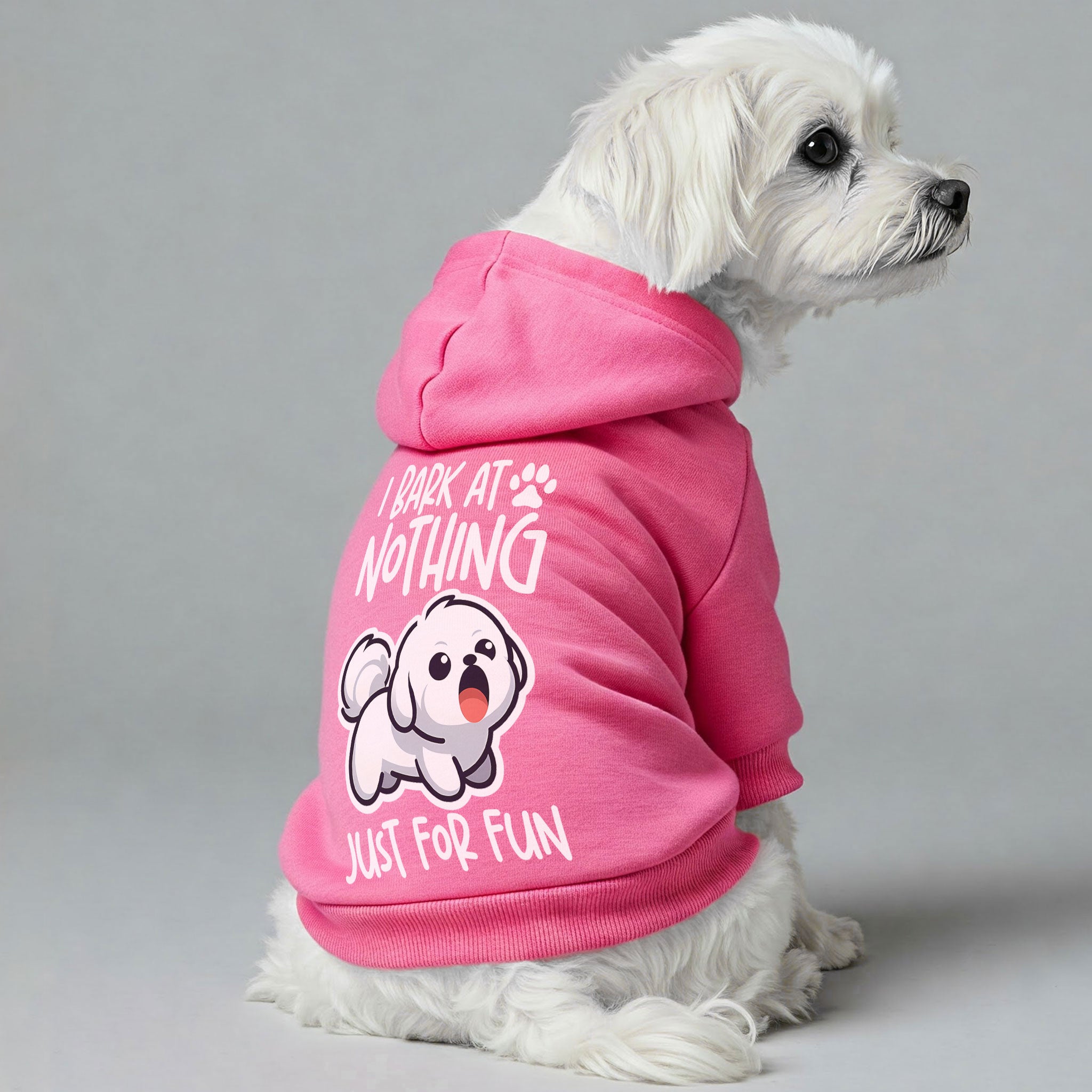 Maltese wearing “I Bark at Nothing” dog hoodie