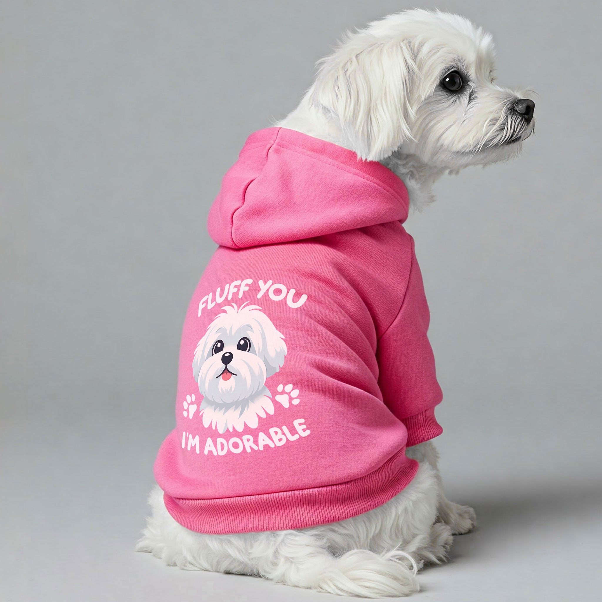 Maltese wearing “I’m Adorable” dog hoodie