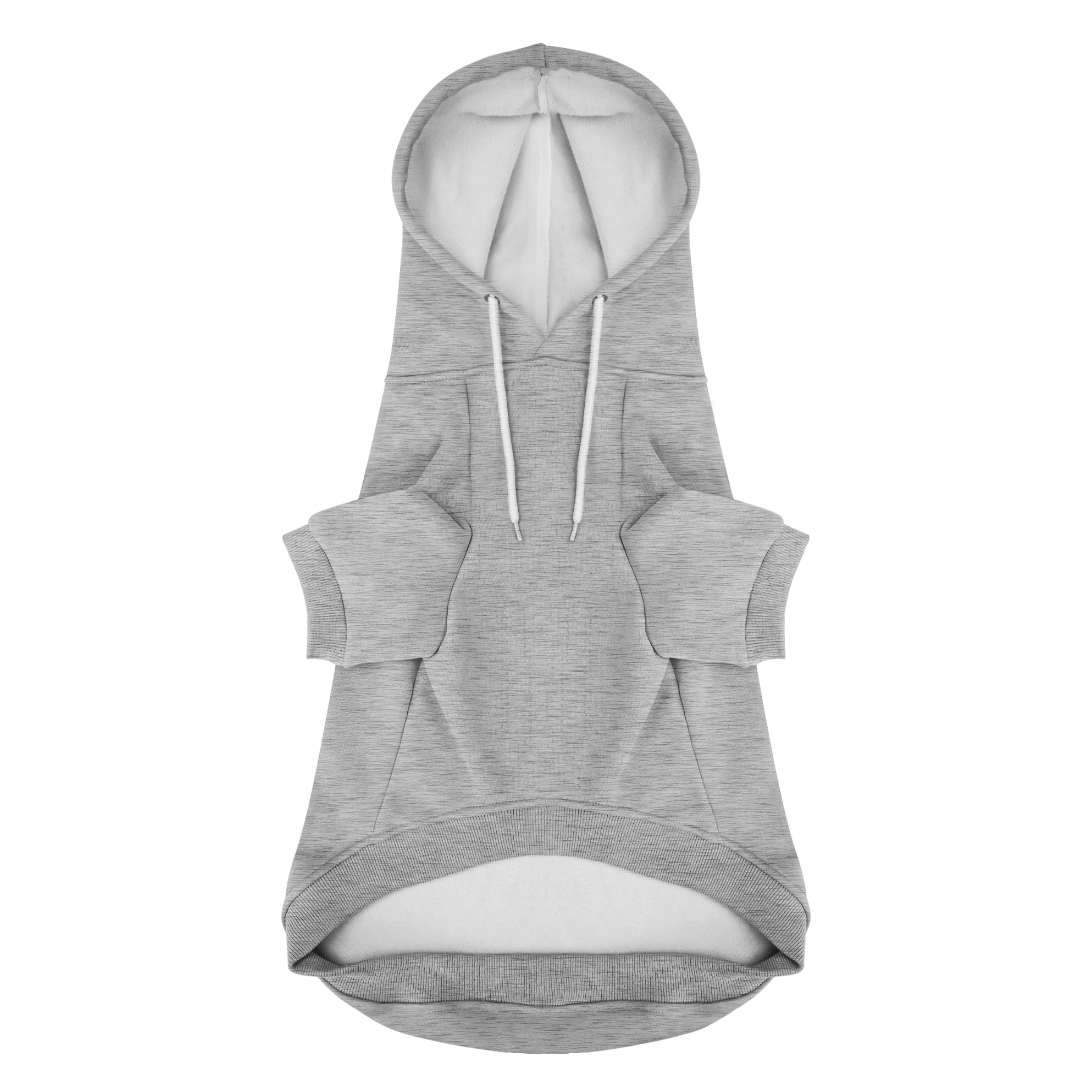 Mama’s Boy dog in hoodie