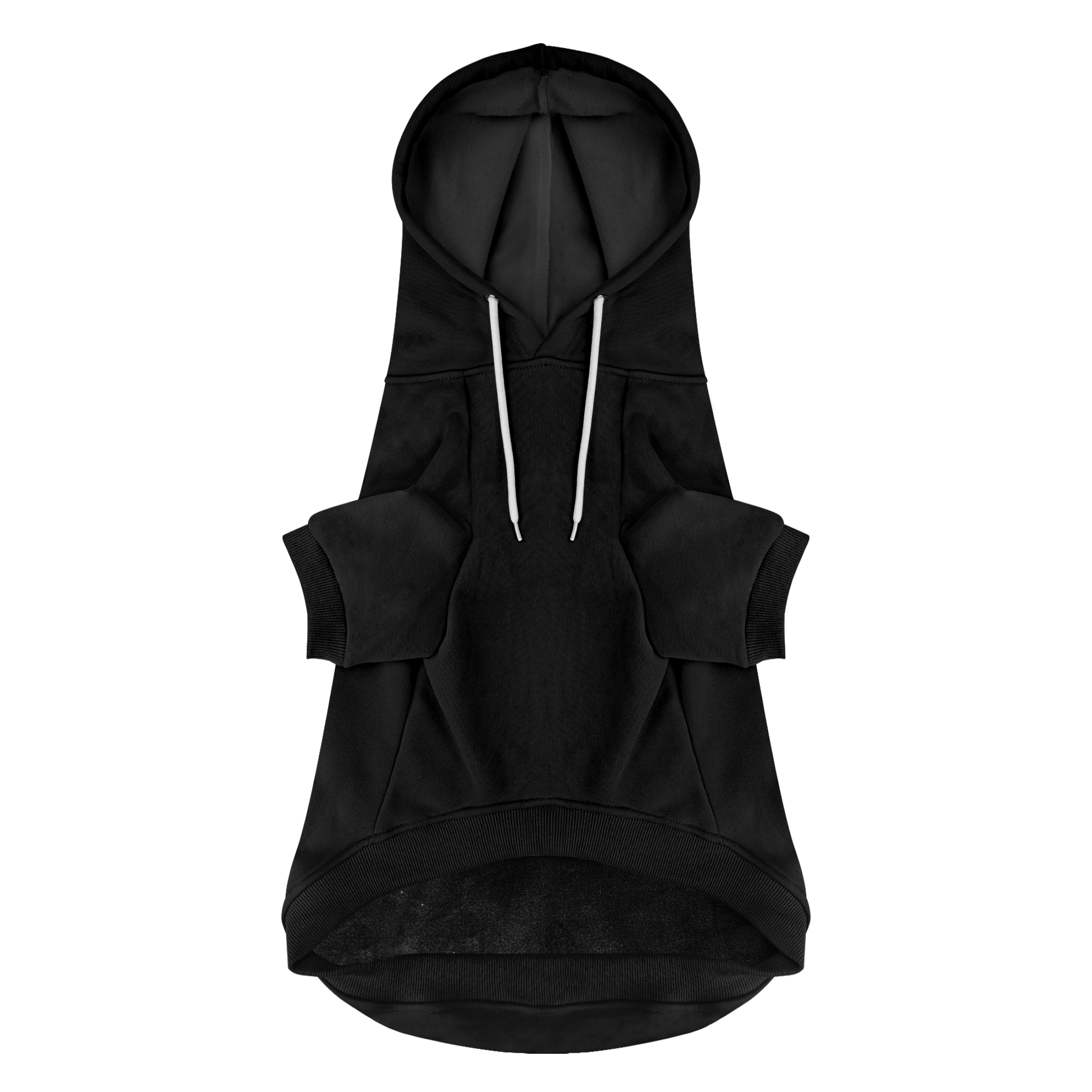 Mama’s Boy dog in hoodies