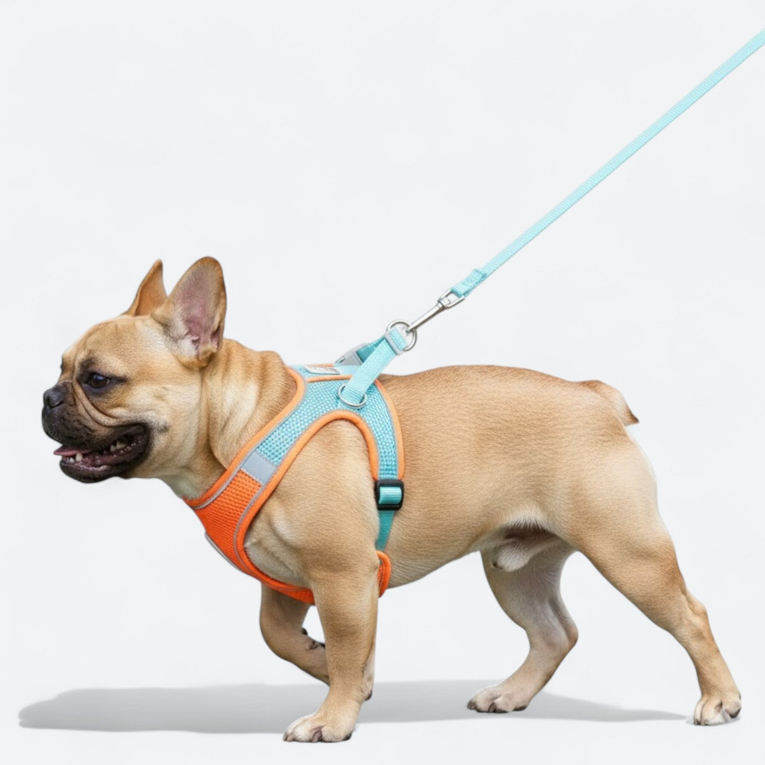 Mesh-Reflective-Dog-Harness-Leash-Set.jpg