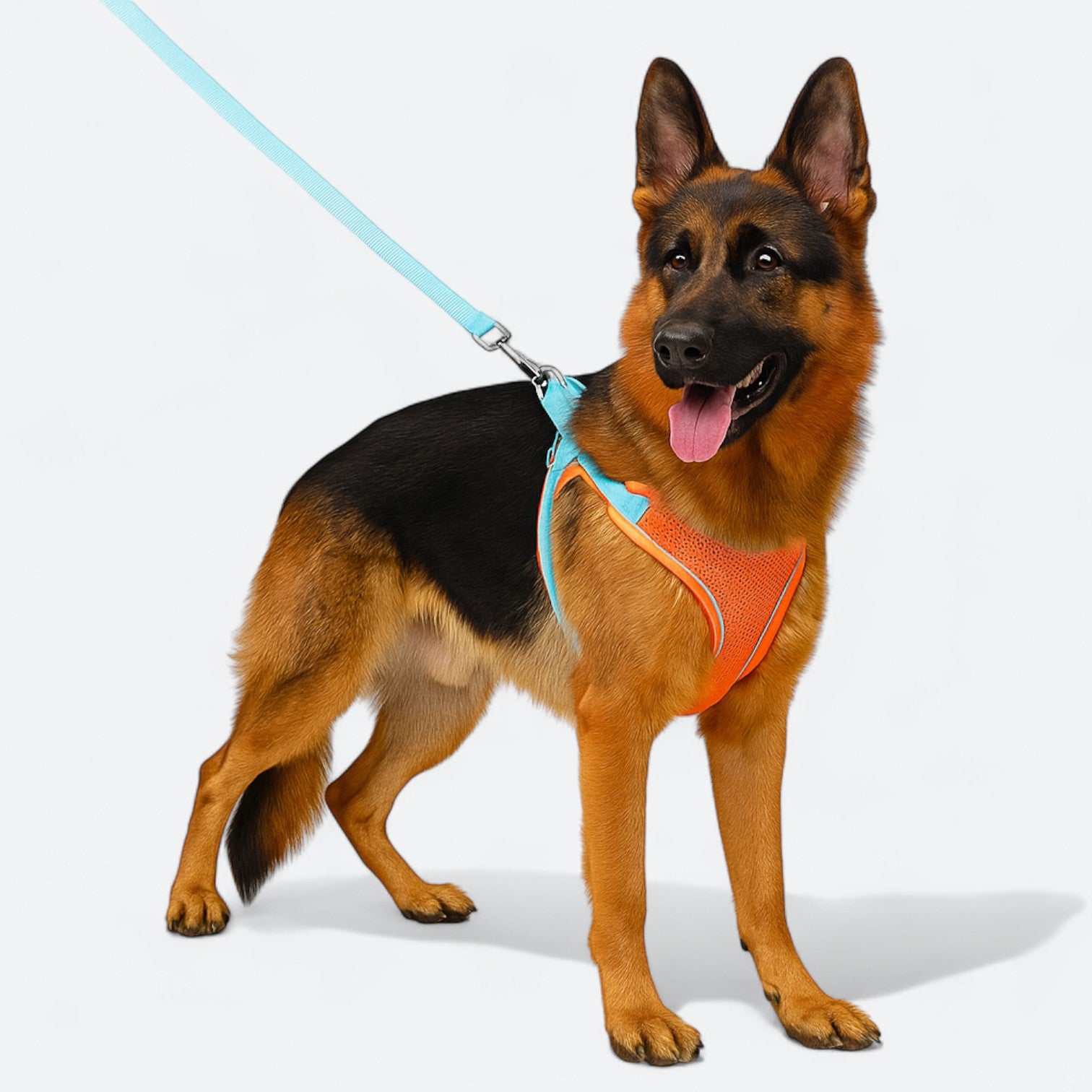 Mesh-Reflective-Dog-Harness-Leash-Set.jpg