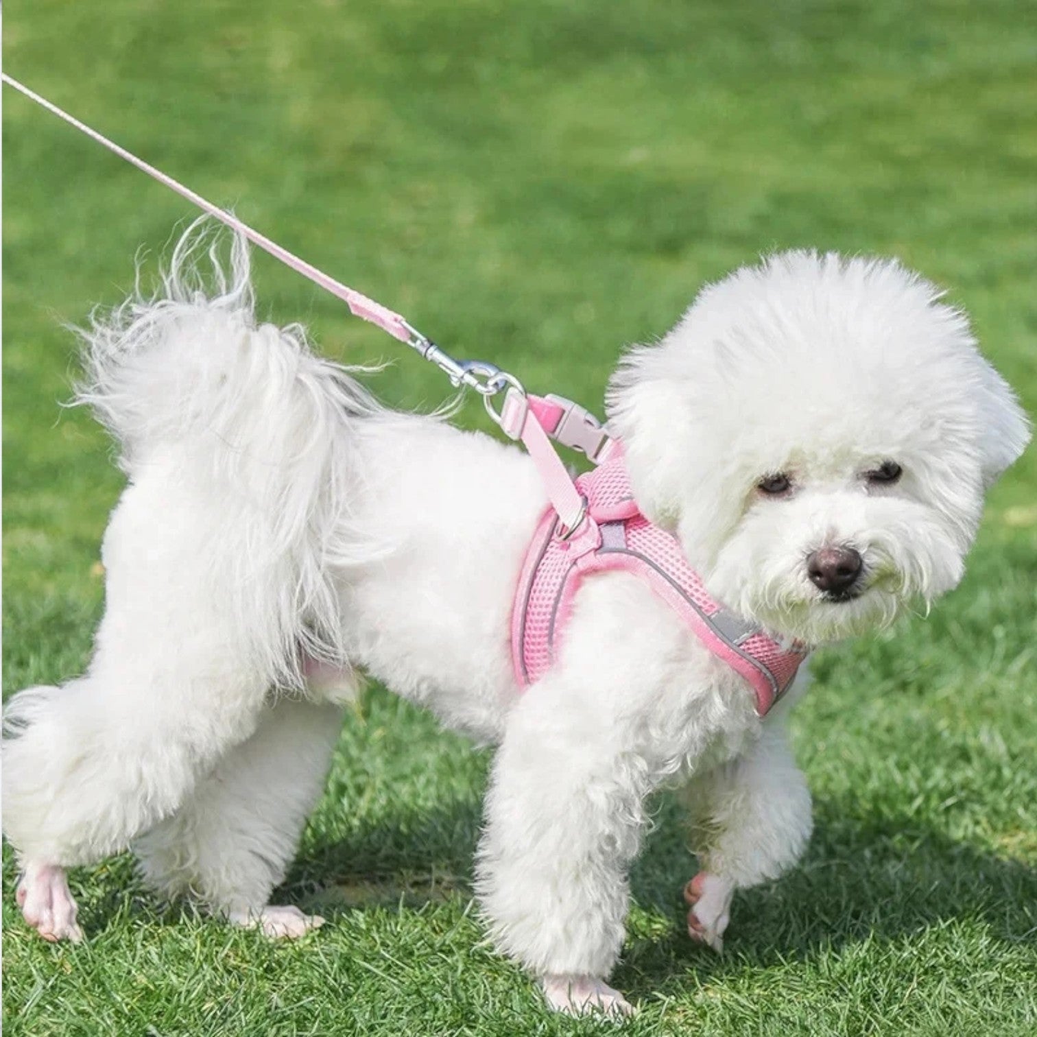 Mesh-Reflective-Dog-Harness-Leash-Set.jpg
