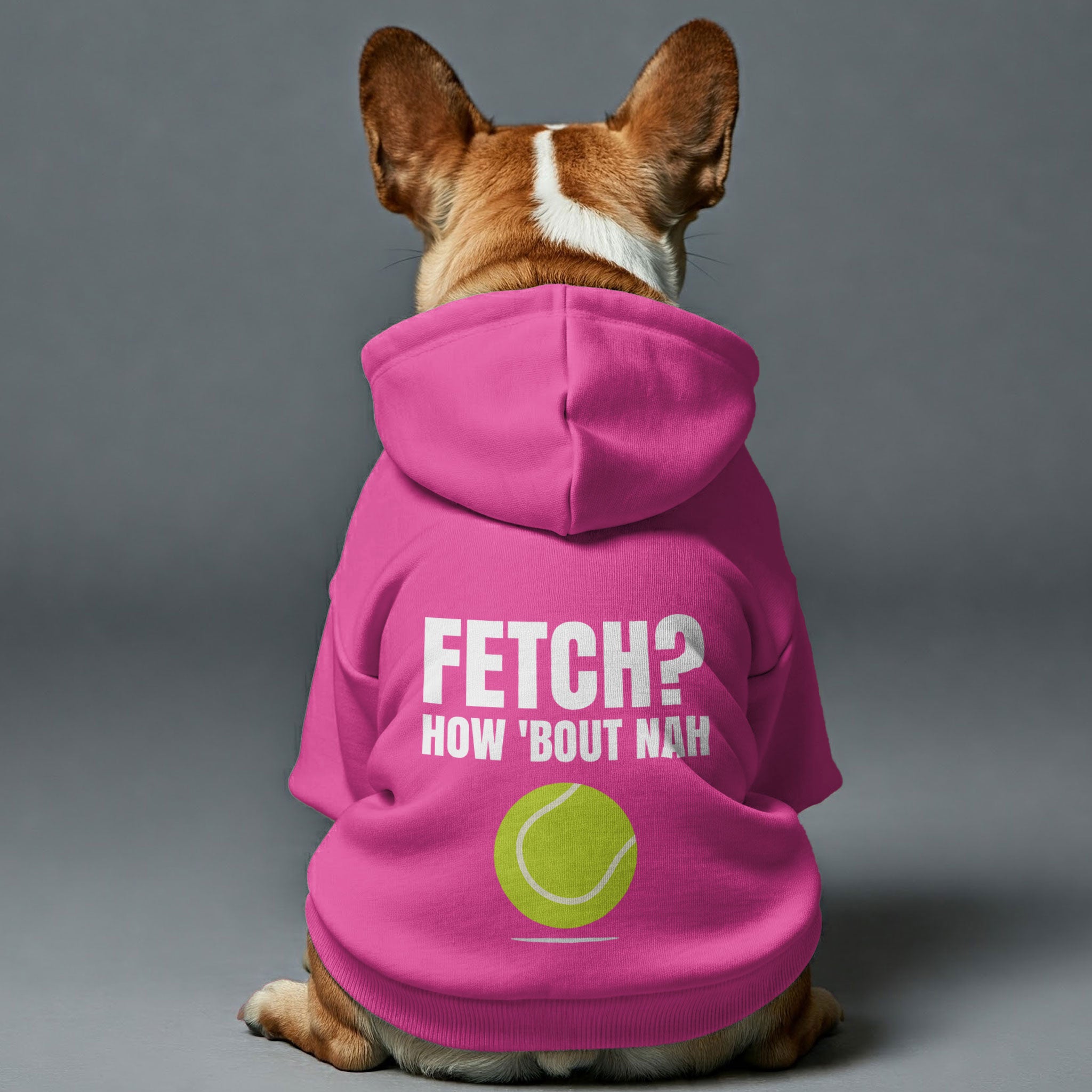 Fetch? How bout nah– Dog Hoodie – Dog Clothes