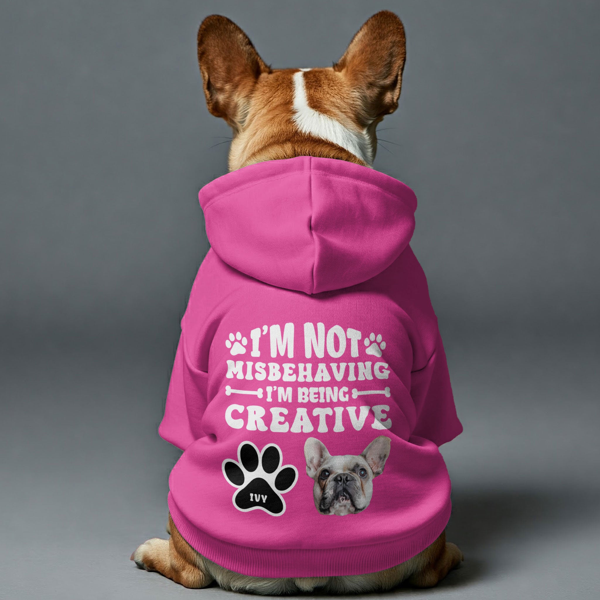 I’m not misbehaving - Personalized hoodie with your dog’s name and Face– dog hoodie – dog clothes
