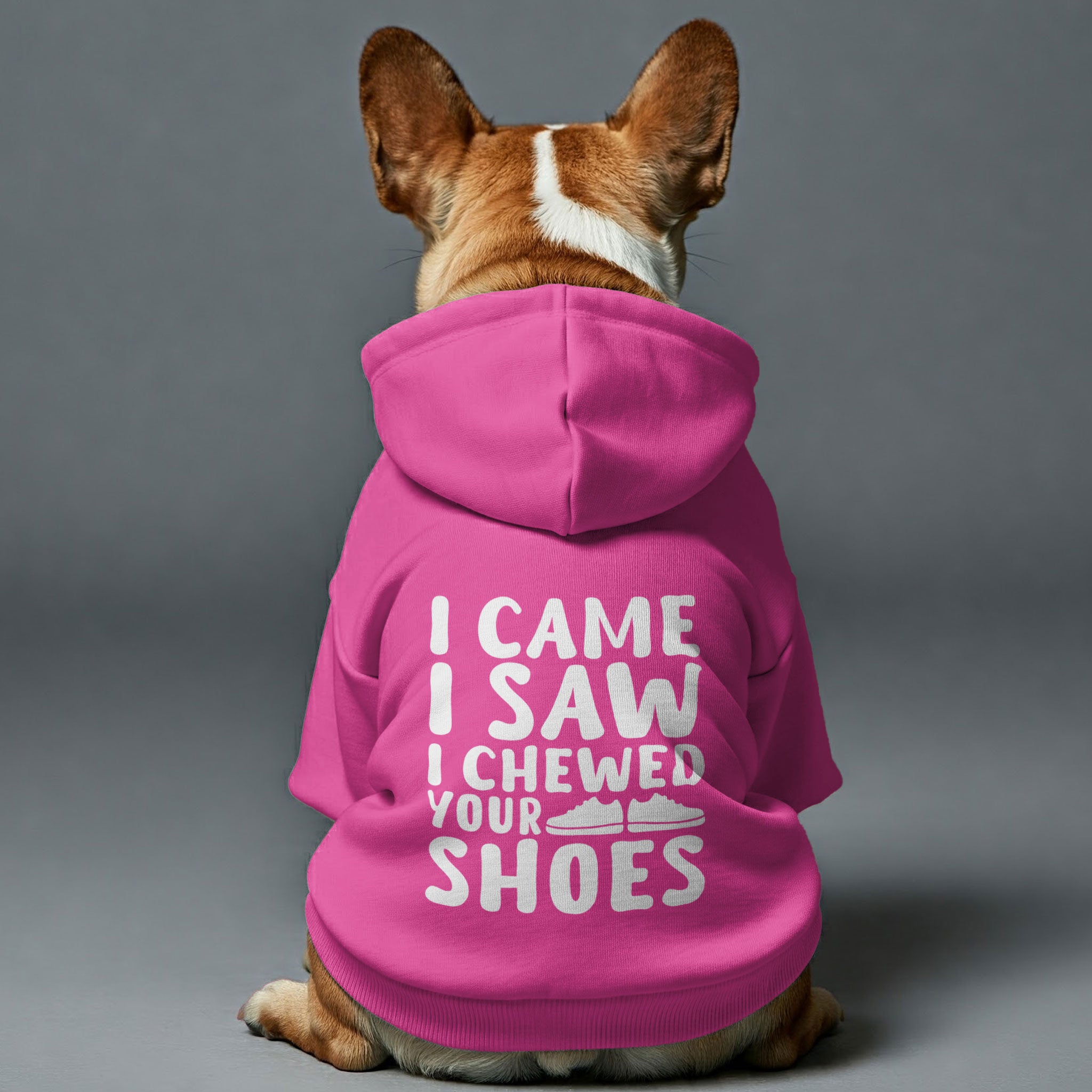 I Came, I Saw, I Chewed Your Shoes – Dog Hoodie – Dog Clothes