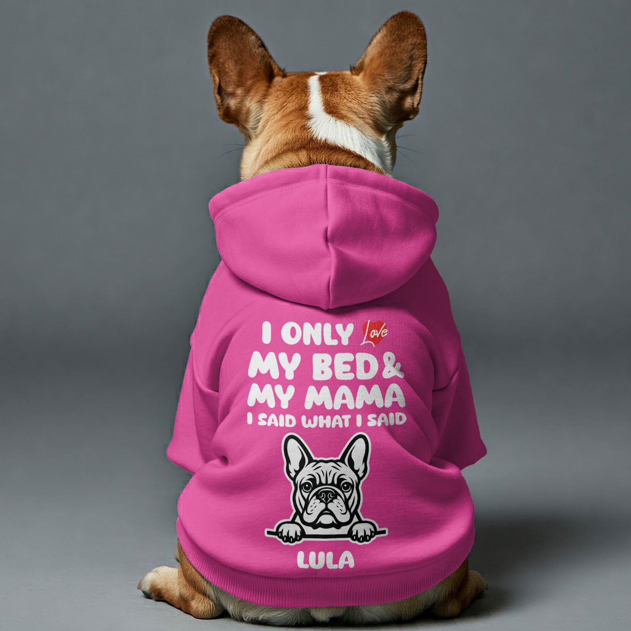 I ONLY LOVE - personalized hoodie with your dog’s name,breed and DADA or MAMA – dog hoodie – dog clothes