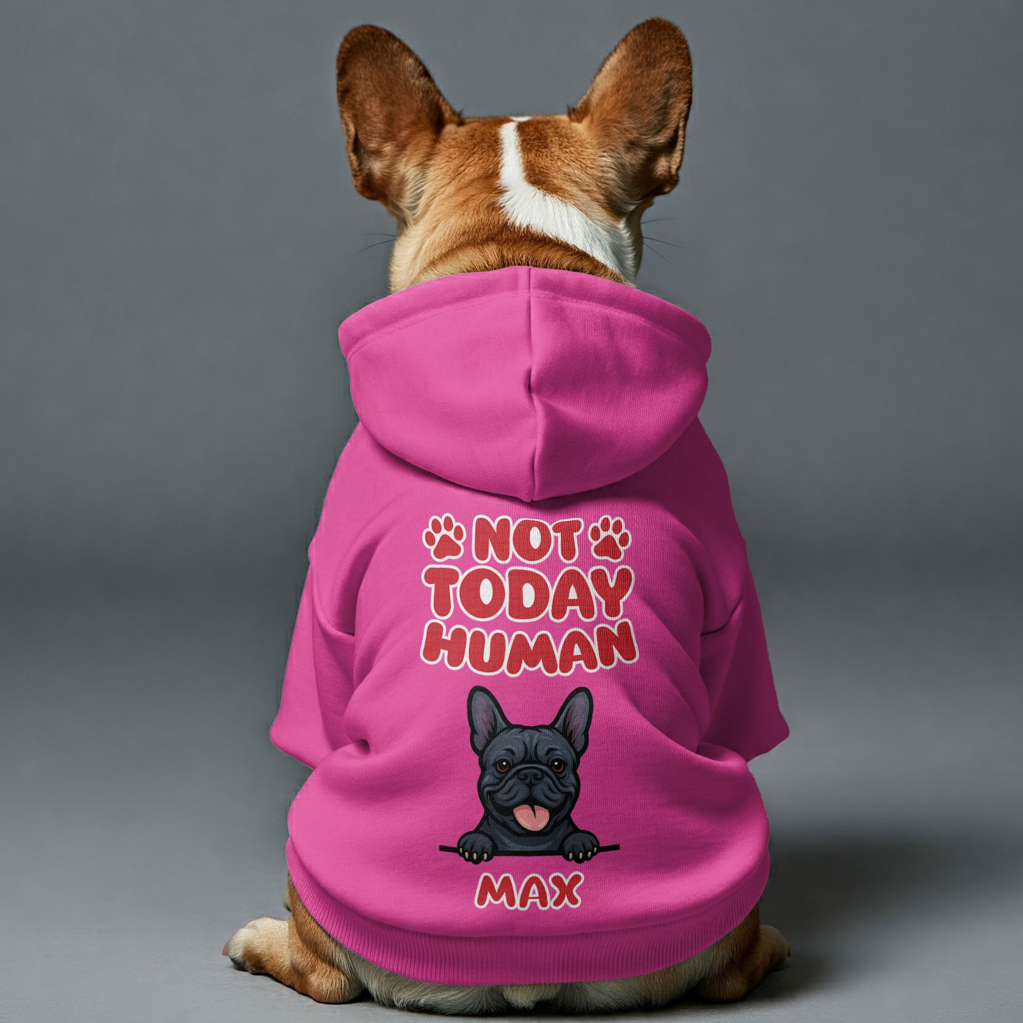 NOT TODAY HUMAN- personalized hoodie with your dog’s name and breed – dog hoodie – dog clothes