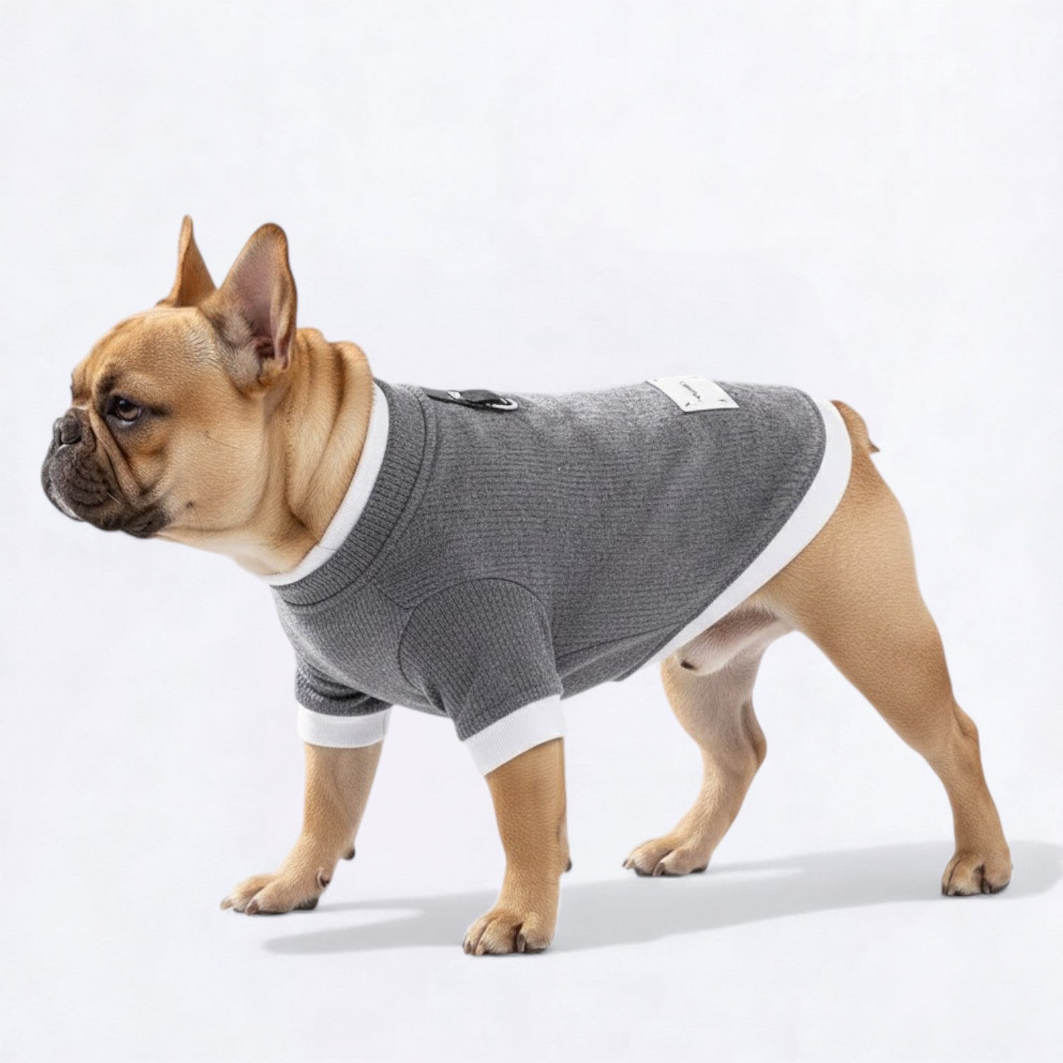 Multi-Layered-Dog-Sweatshirt.jpg