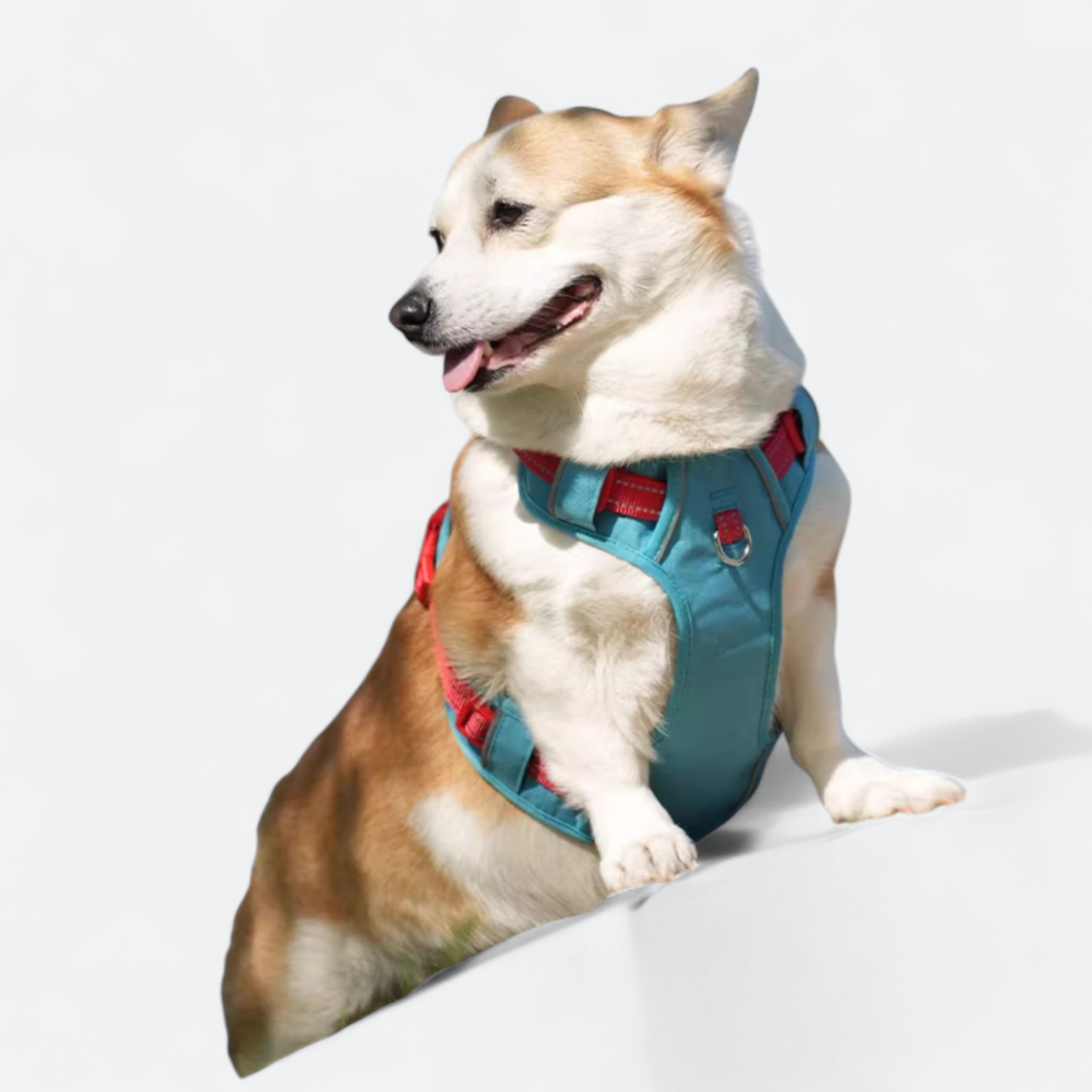 No-Pull-Reflective-Dog-Harness.jpg