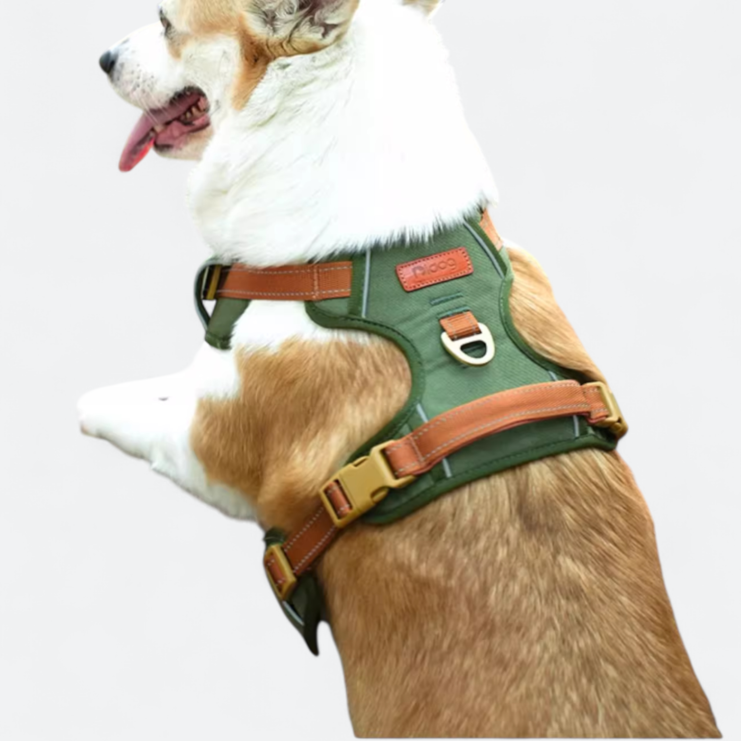 No-Pull-Reflective-Dog-Harness.jpg