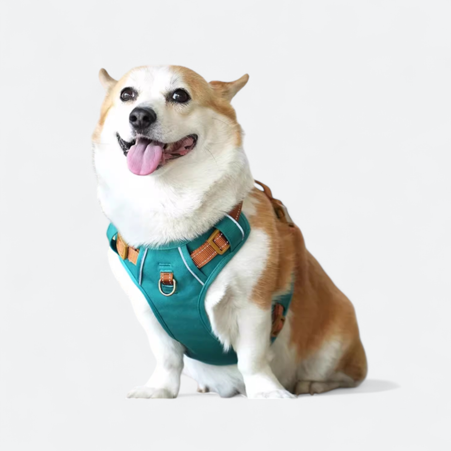No-Pull-Reflective-Dog-Harness.jpg