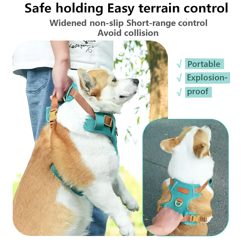 No-Pull-Reflective-Dog-Harness.jpg