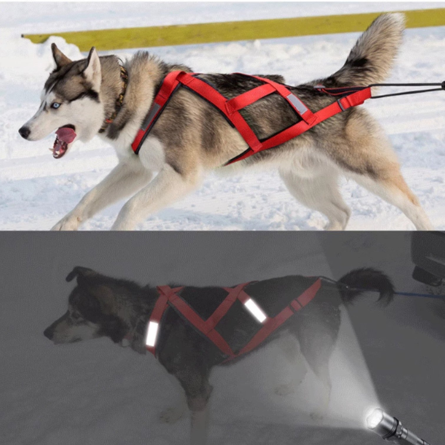 Outdoor-Dog-Sled-Harness.jpg
