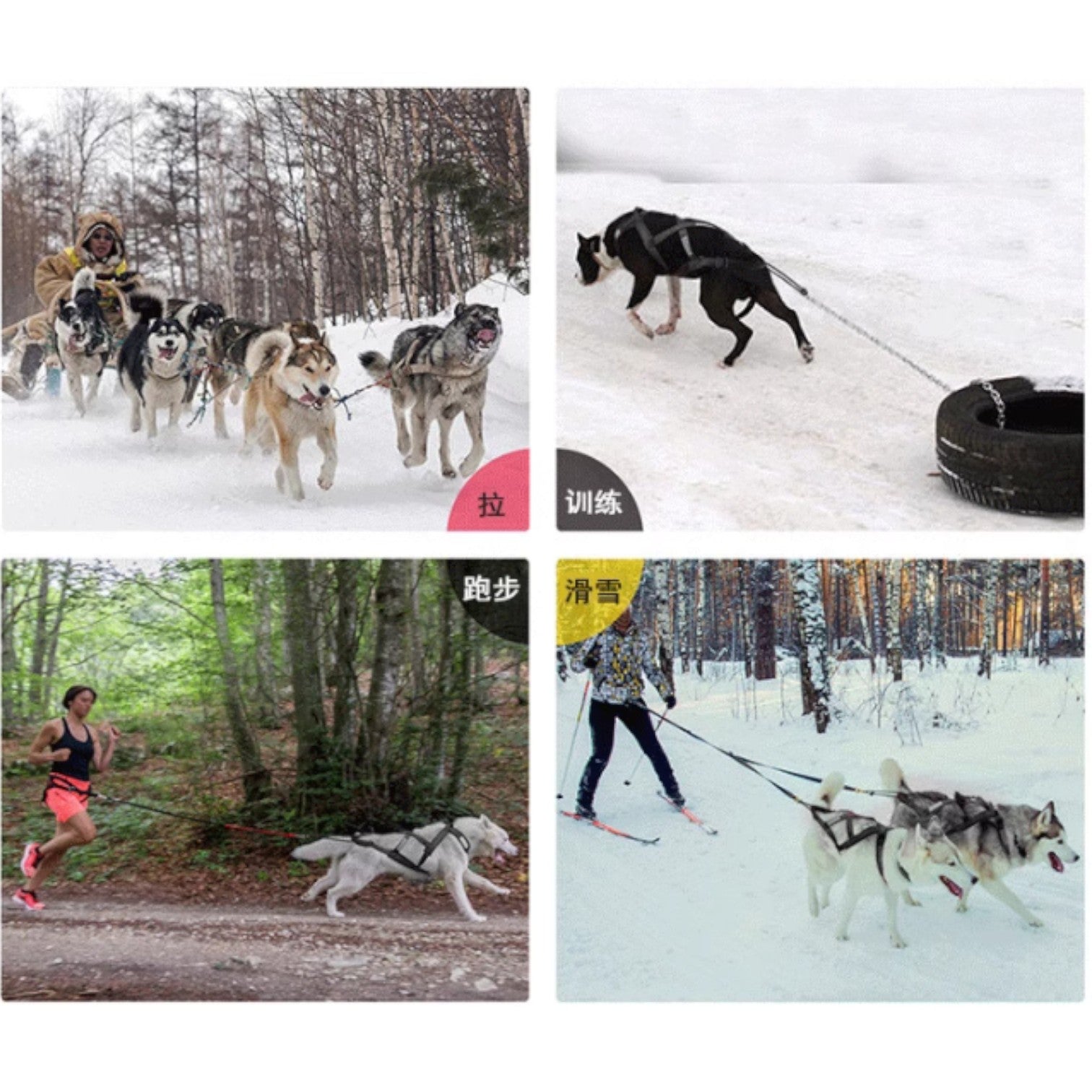 Outdoor-Dog-Sled-Harness.jpg