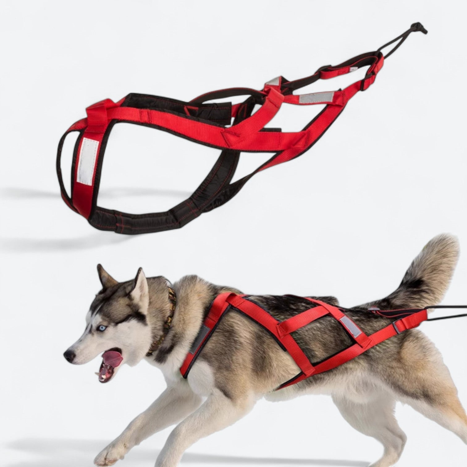 Outdoor-Dog-Sled-Harness.jpg