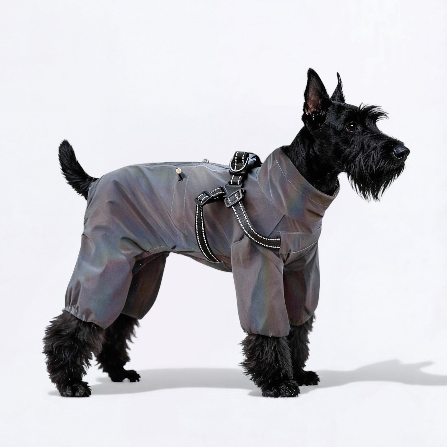 Outdoor-Full-Body-Dog-Raincoat.jpg