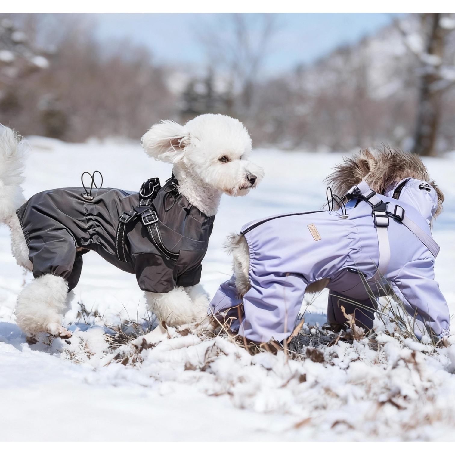 Outdoor-Full-Body-Dog-Raincoat.jpg