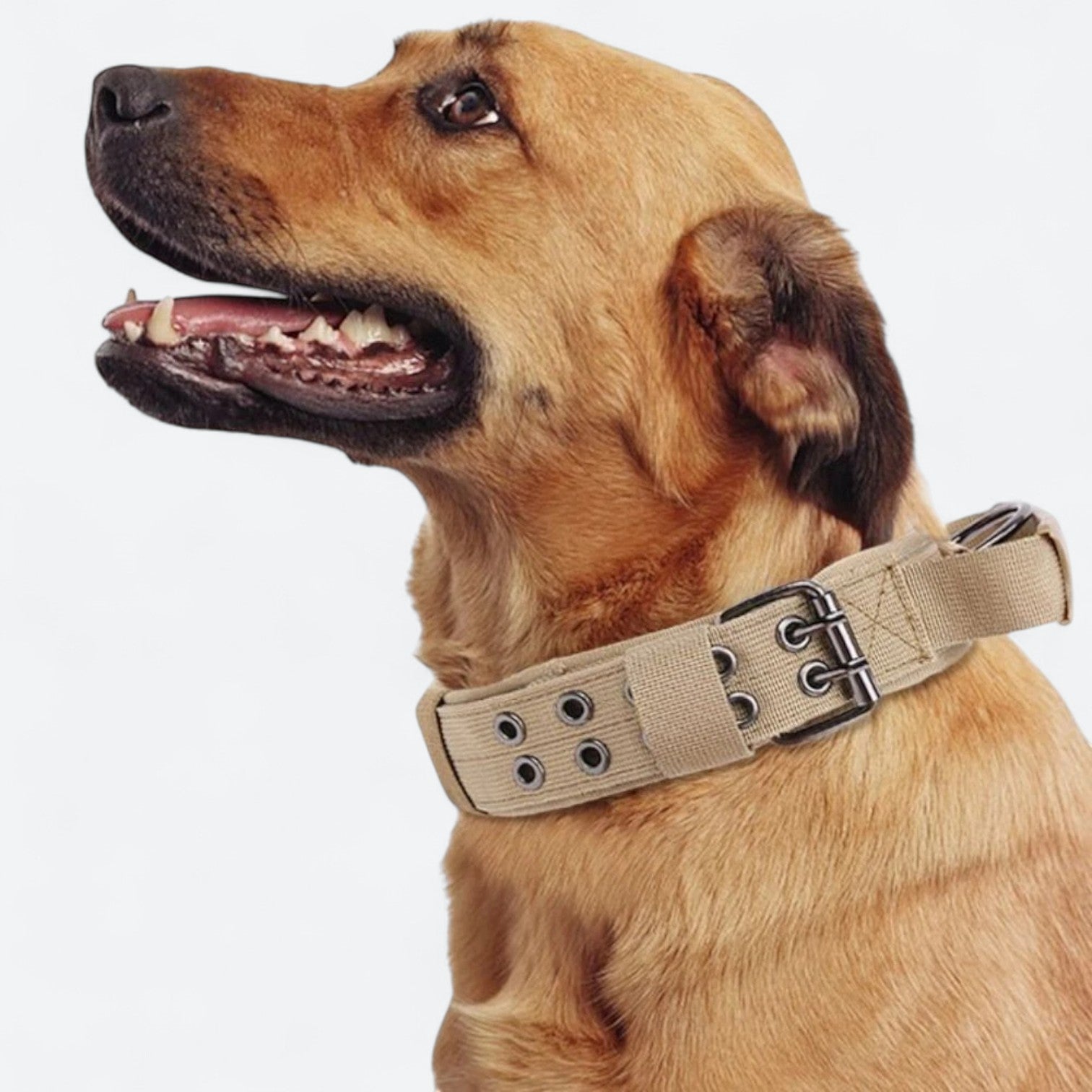 Outdoor-Tactical-Dog-Collar-Leash-Set.jpg
