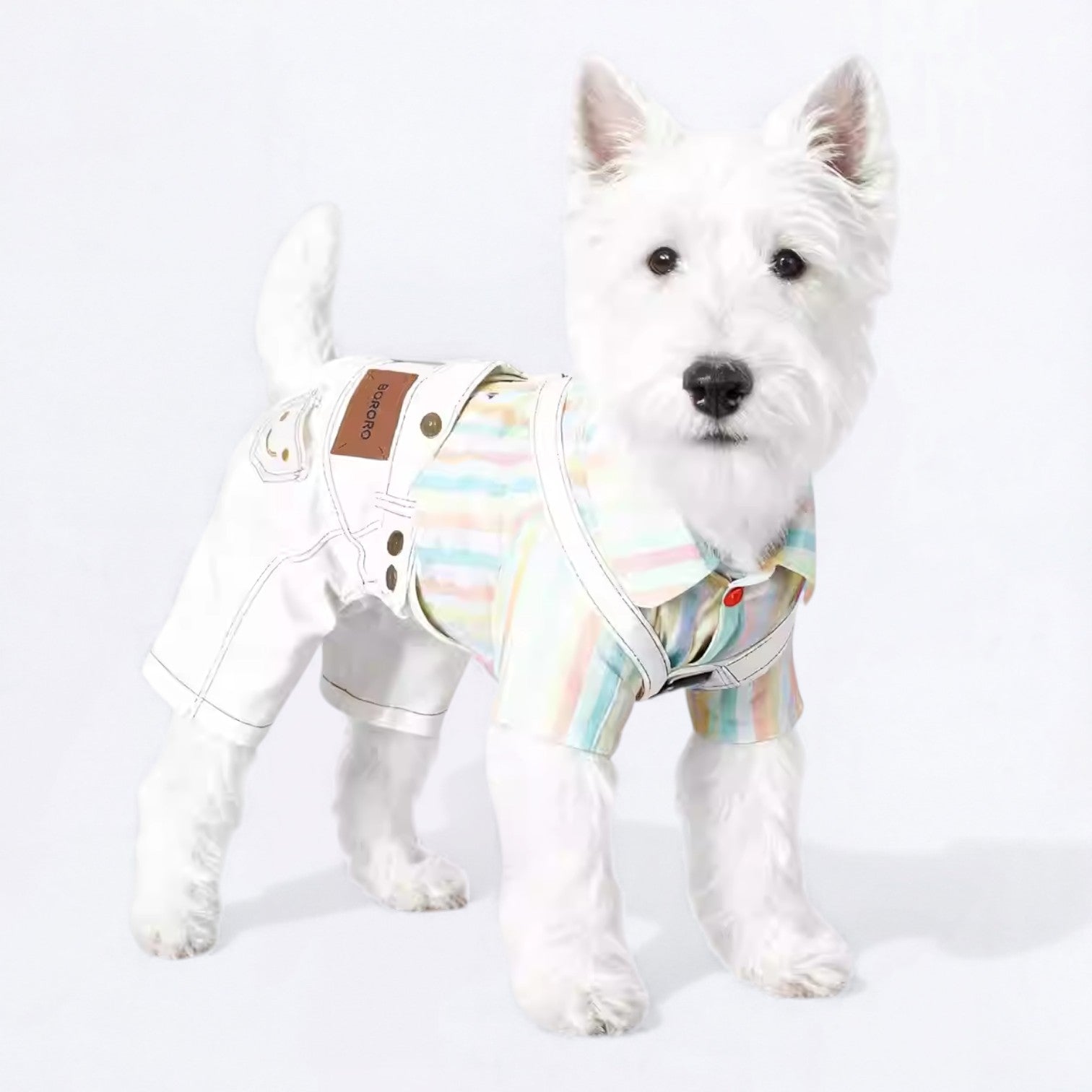 Overalls-Denim-Dog-Outfit.jpg