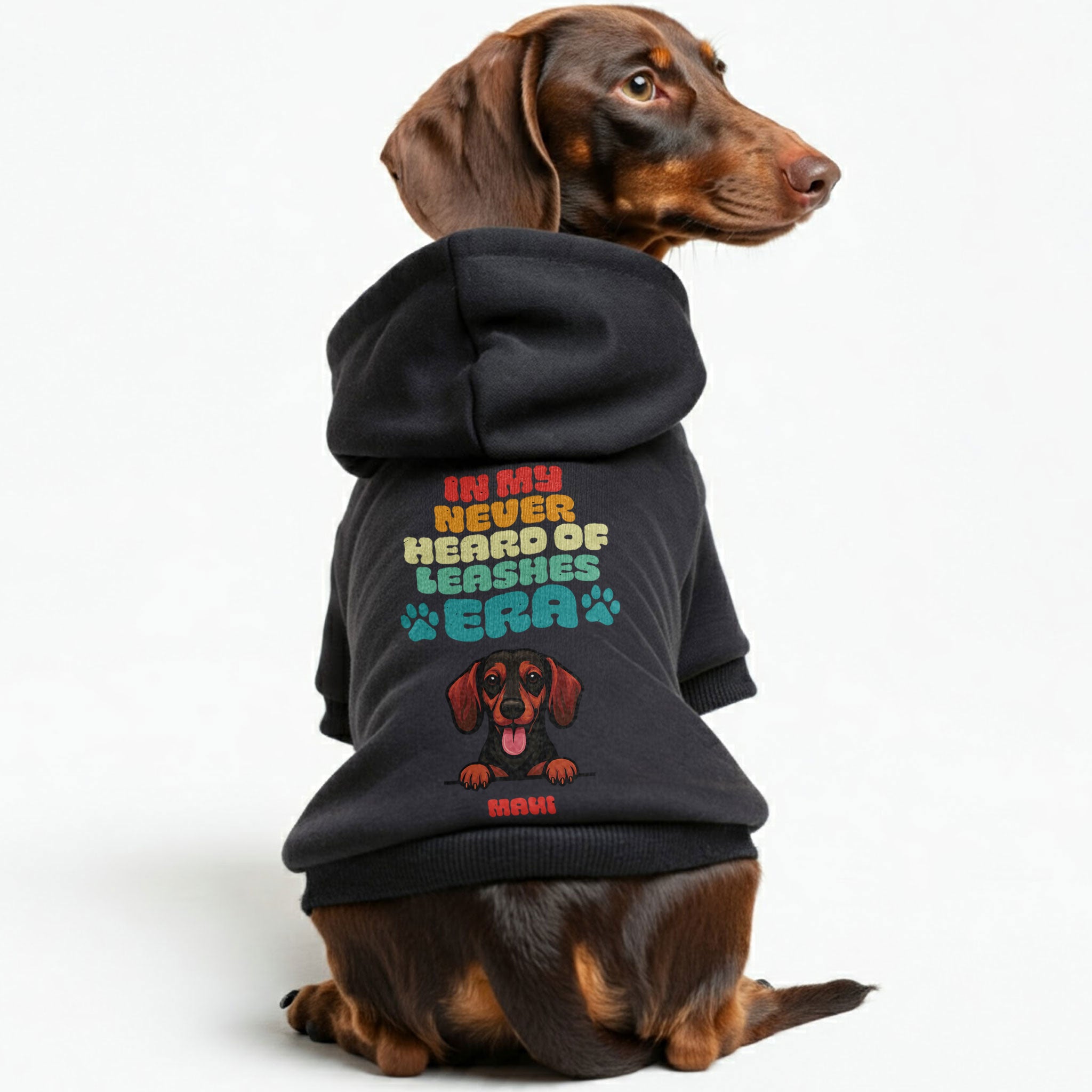 Leaches ERA - personalized hoodie with your dog’s name and breed – dog hoodie – dog clothes