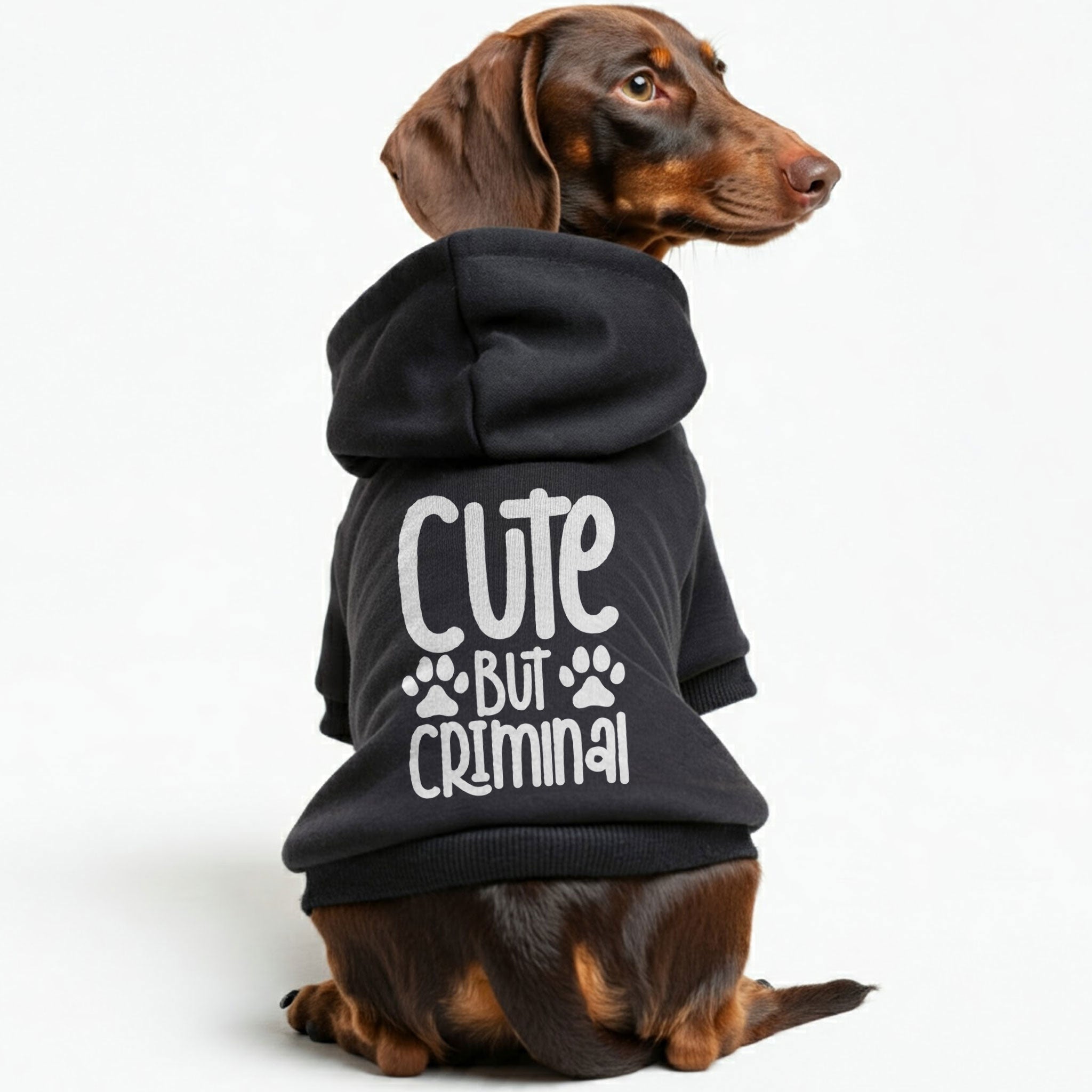 Cute But Criminal – Dog Hoodie – Dog Clothes