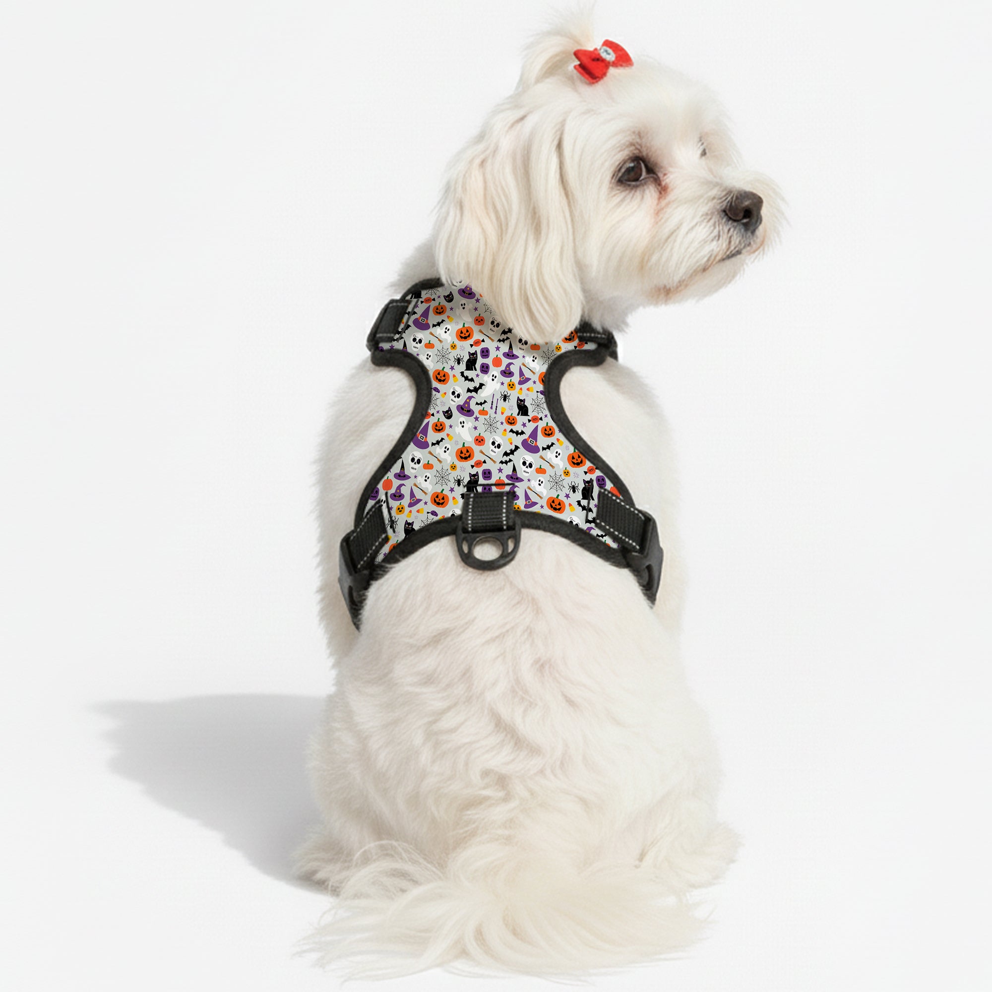 Max - NO-PULL Dog Harness & Leash Set | for small and large Dogs