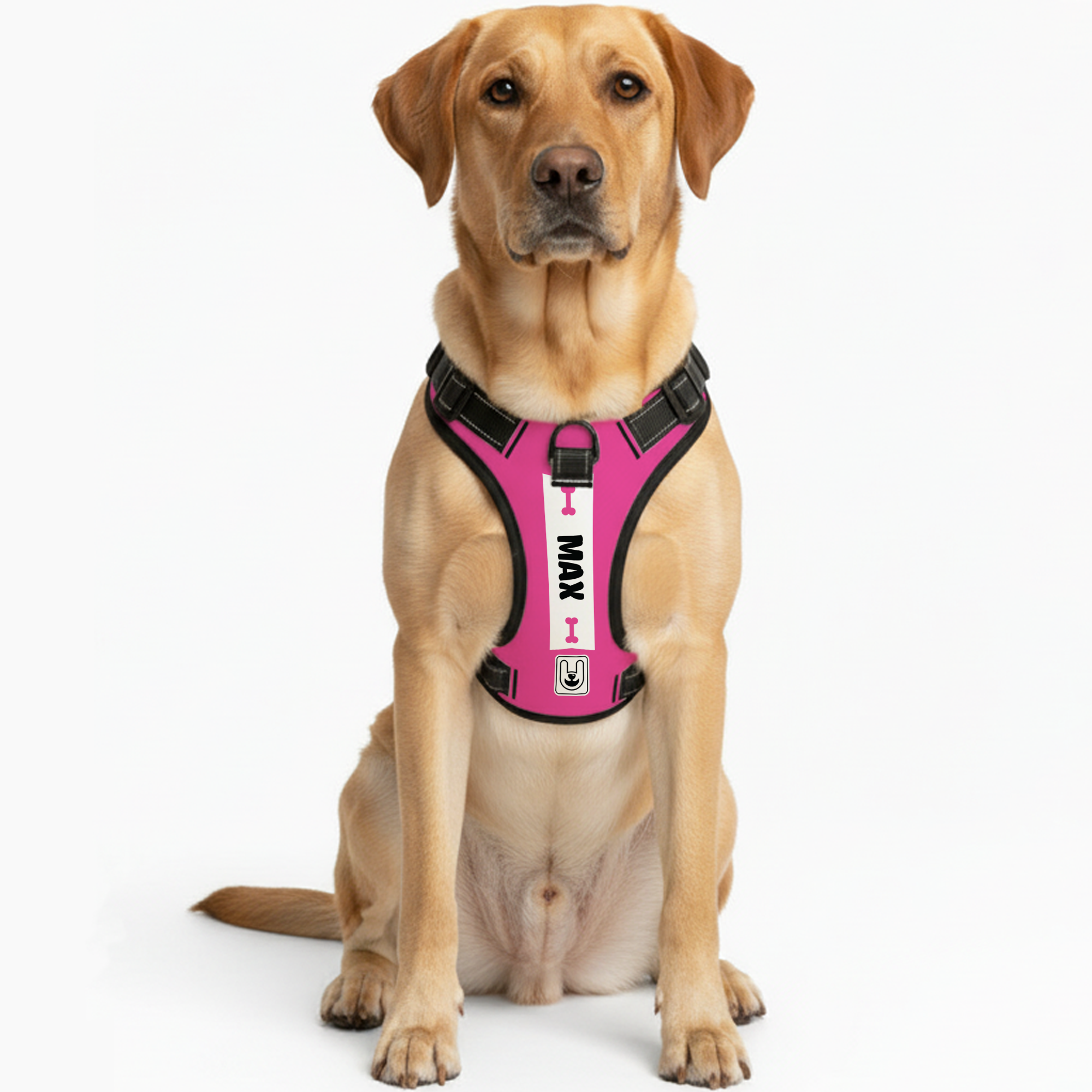 Ajax - Custom Dog harness