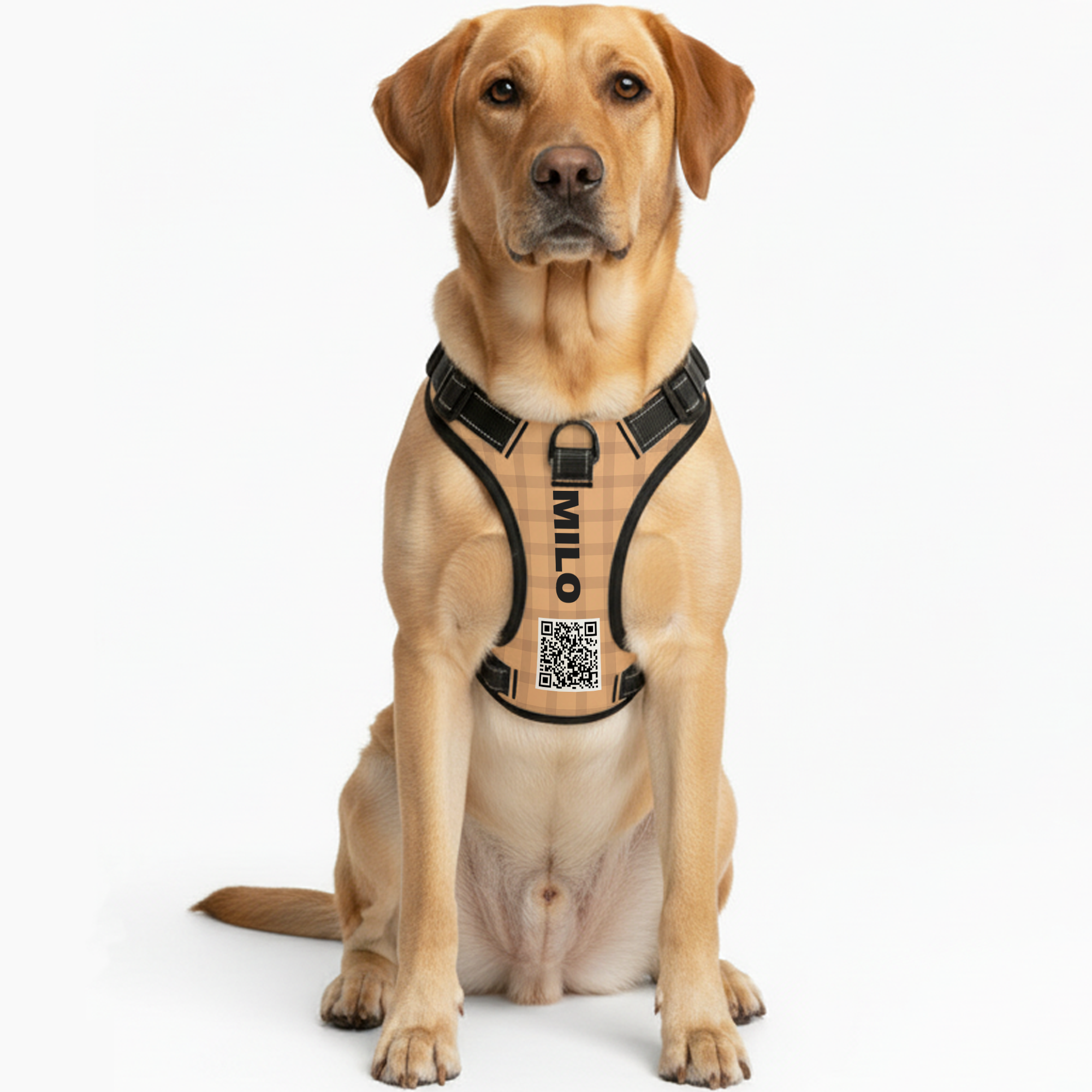 Apollo - Custom Dog harness