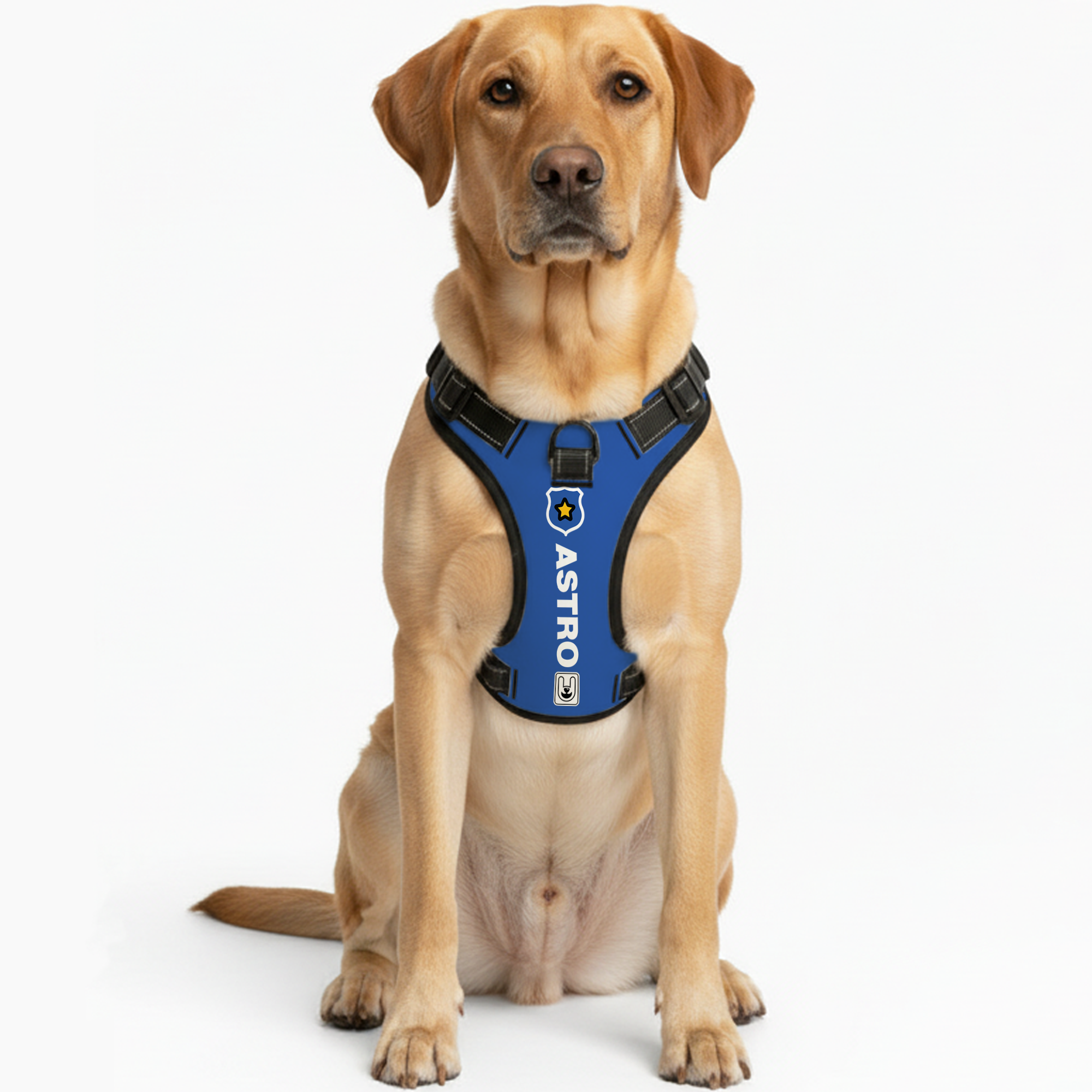 Mango - Custom Dog harness