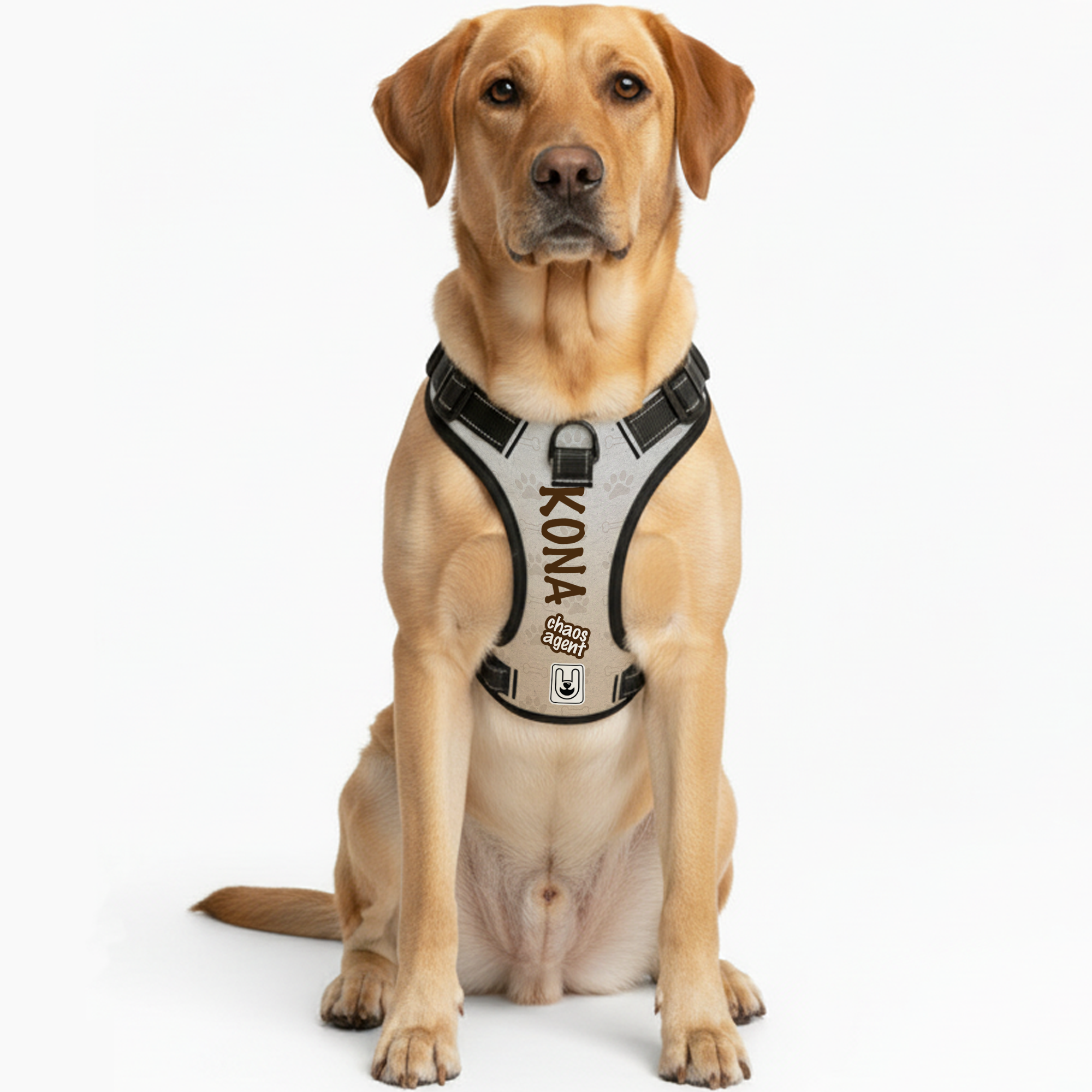 Kong - Custom Dog harness