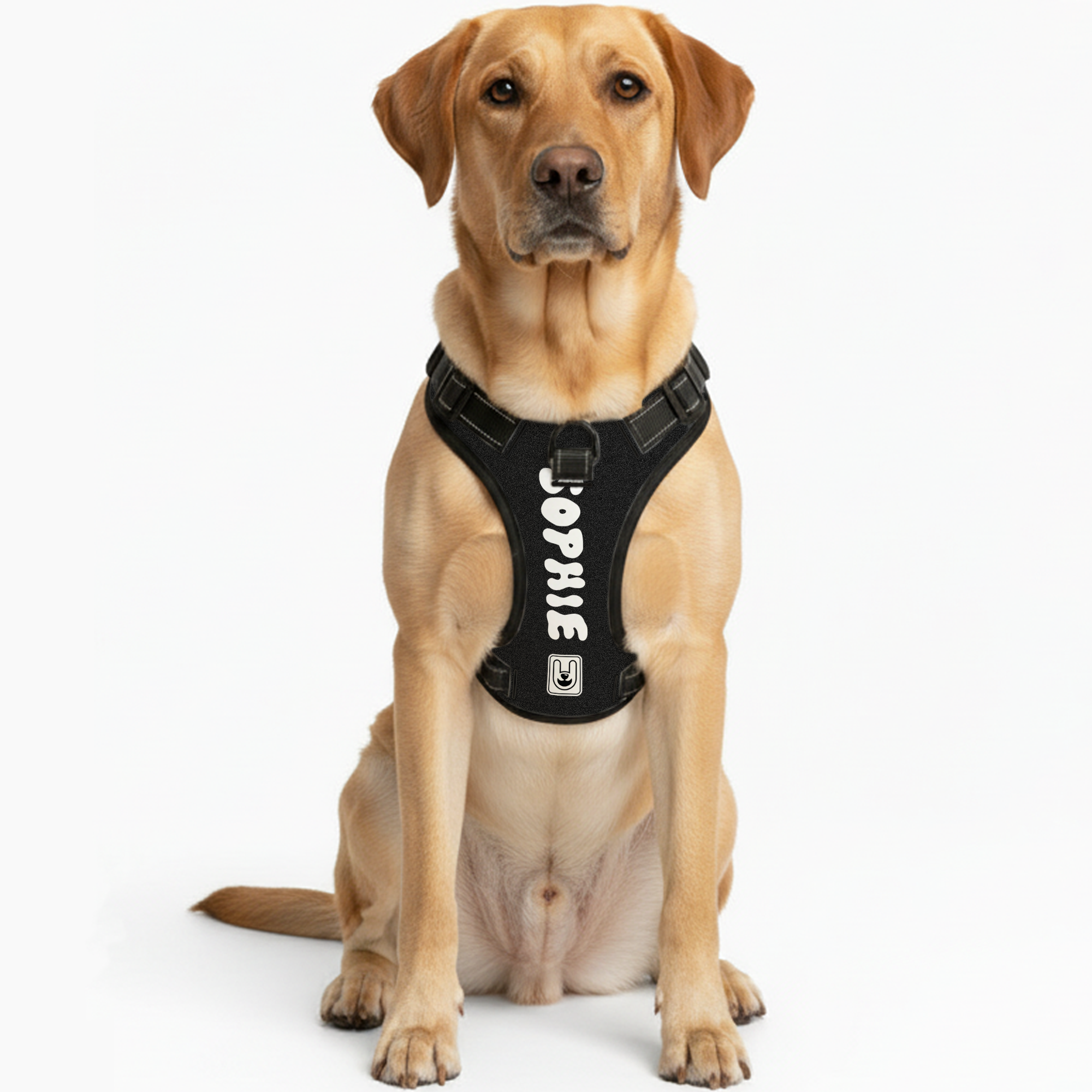 Haley - Custom Dog harness