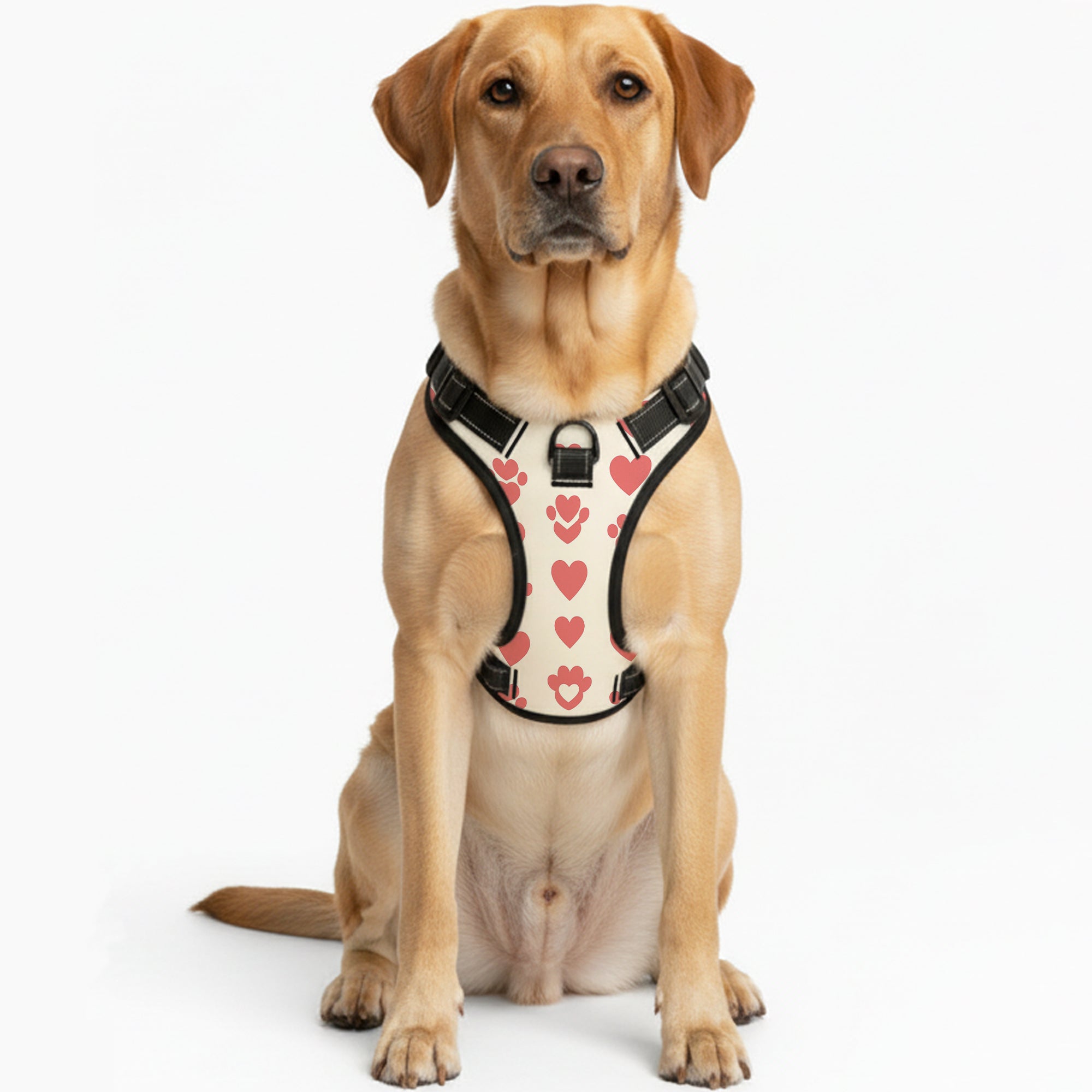 Jack  - NO-PULL Dog Harness & Leash Set | for small and large Dogs