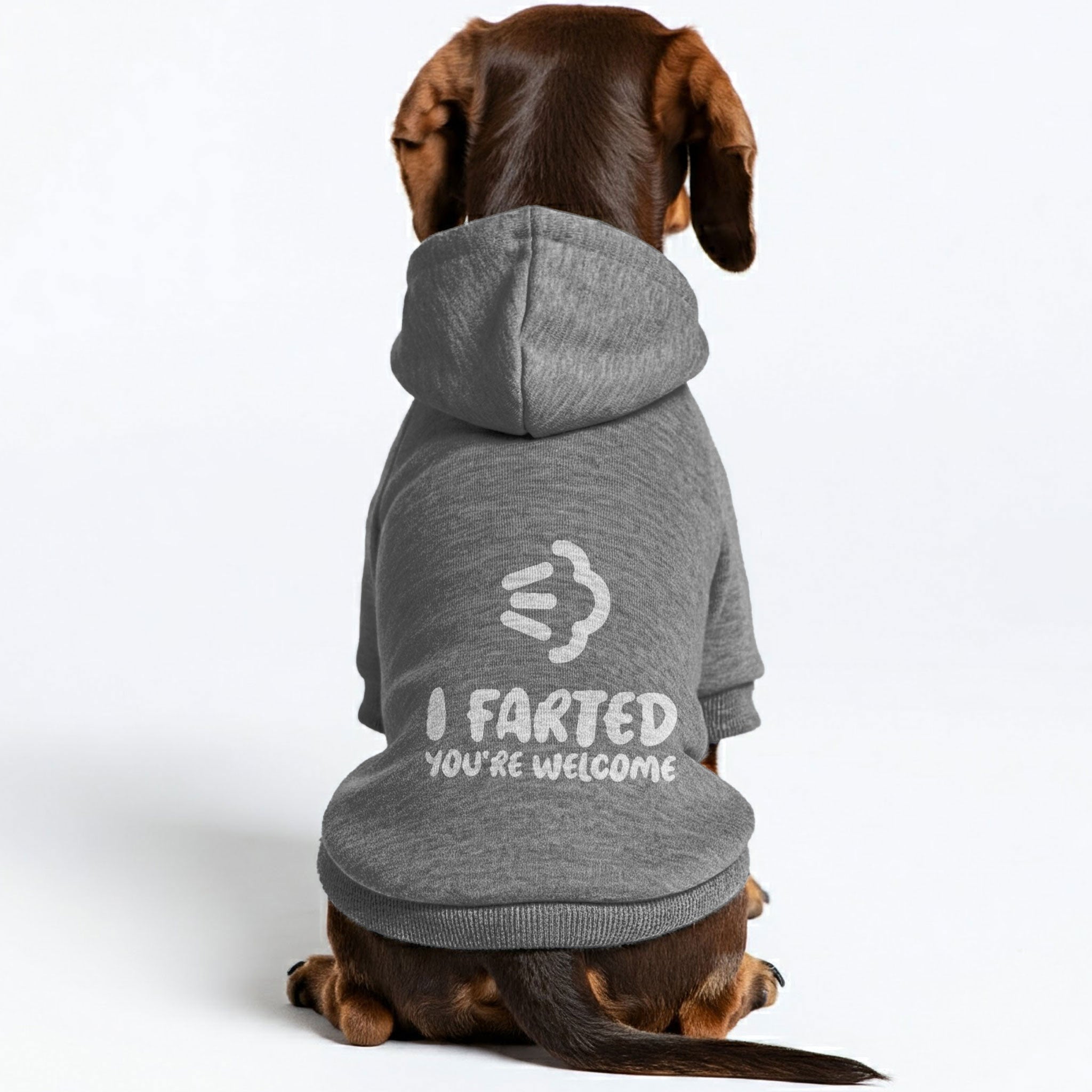 I Farted. You’re Welcome – Dog Hoodie – Dog Clothes